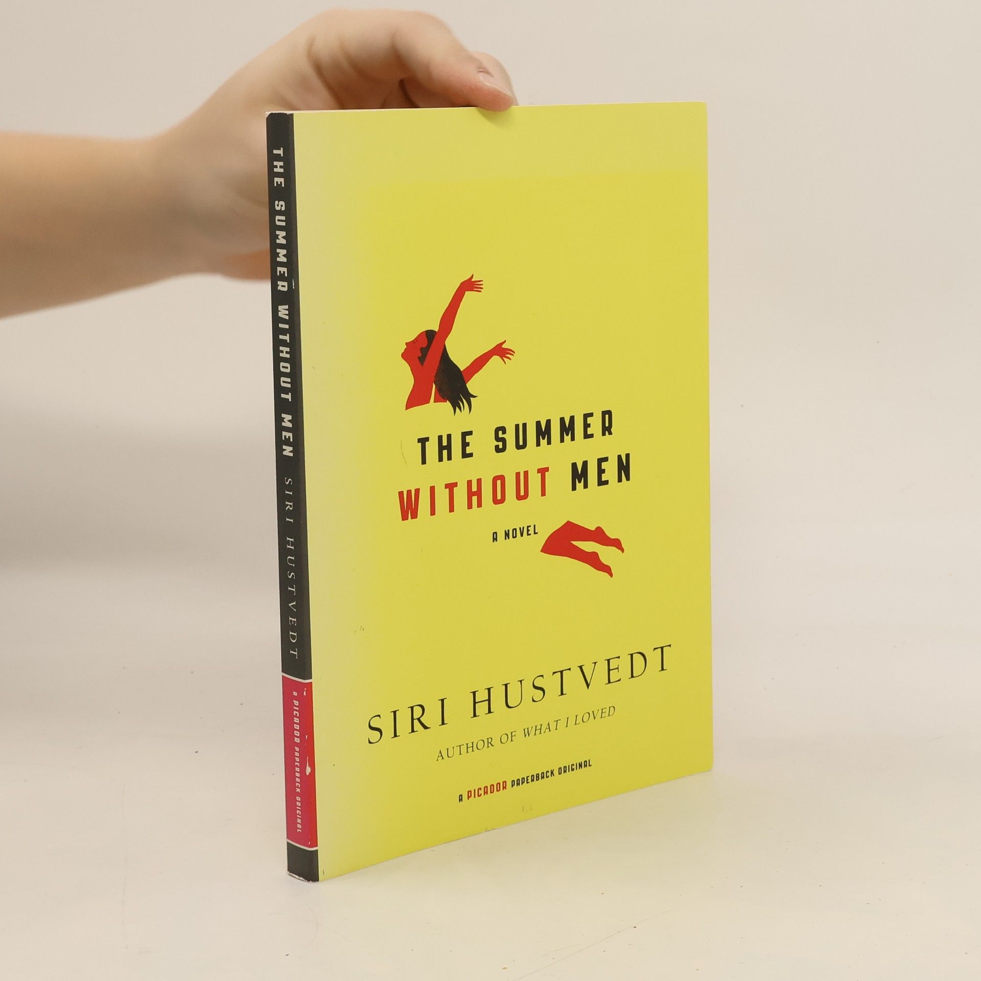 Siri Hustvedt The Summer Without Men