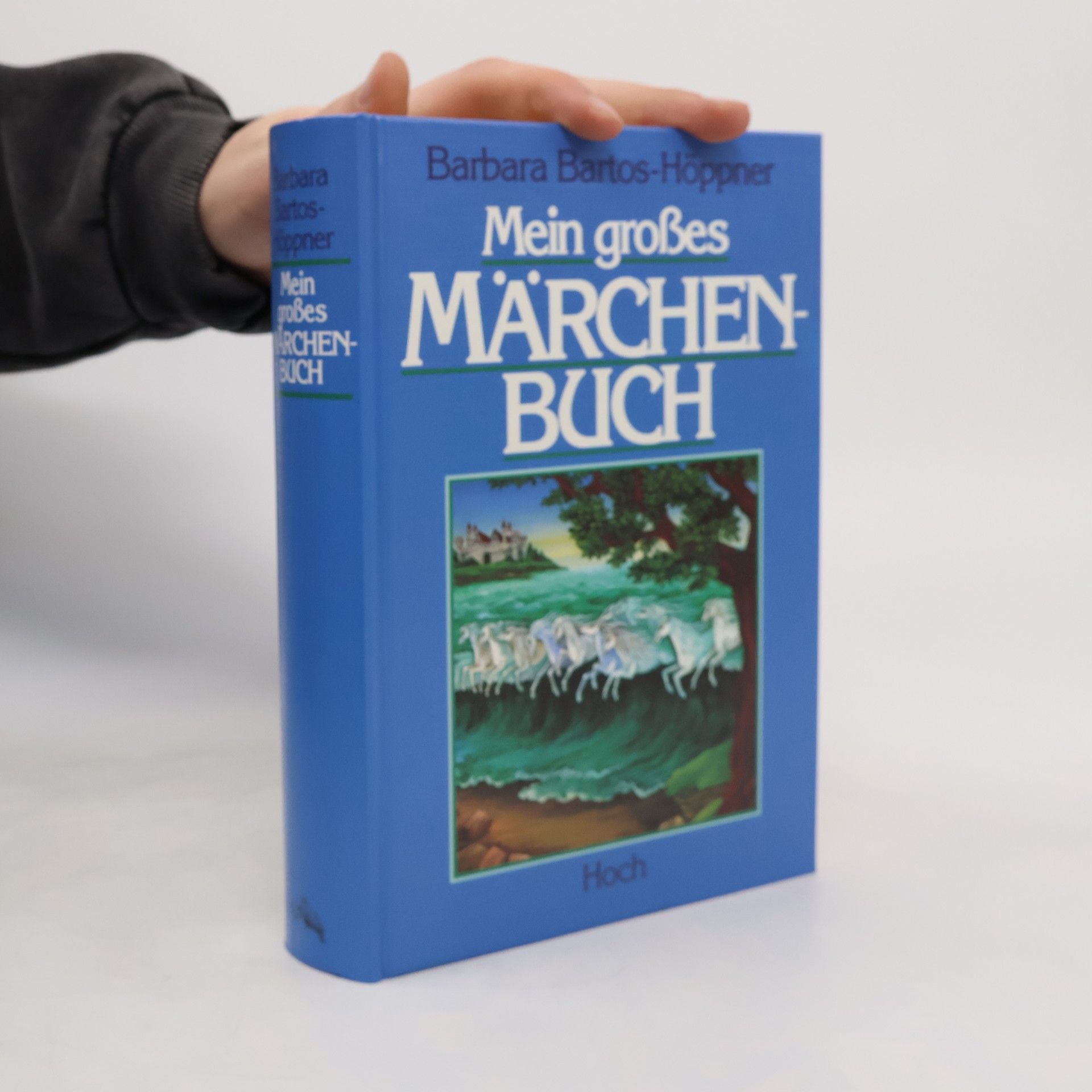 Barbara BartosHöppner Mein grosses Märchenbuch