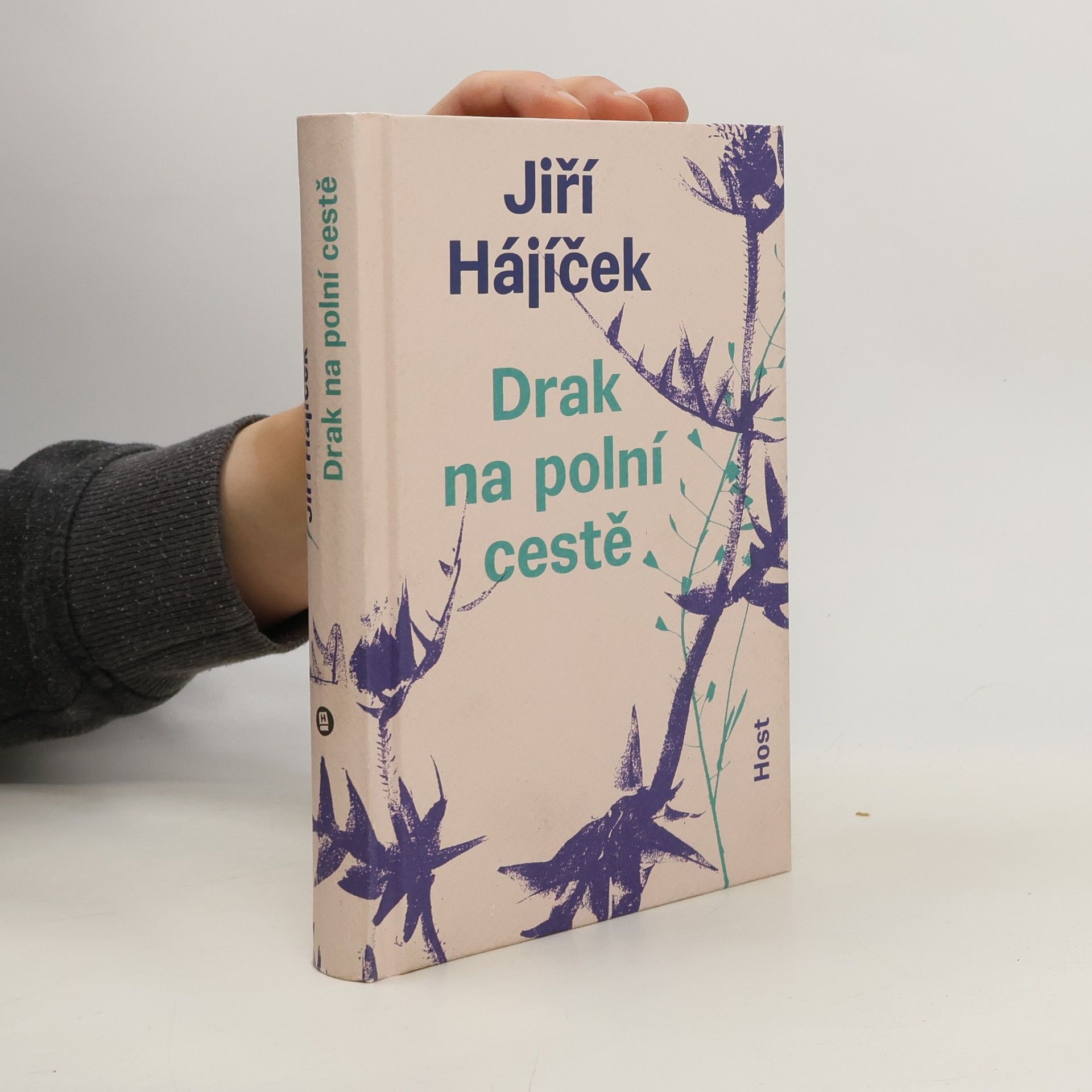 Jiří Hájíček Drak na polní cestě