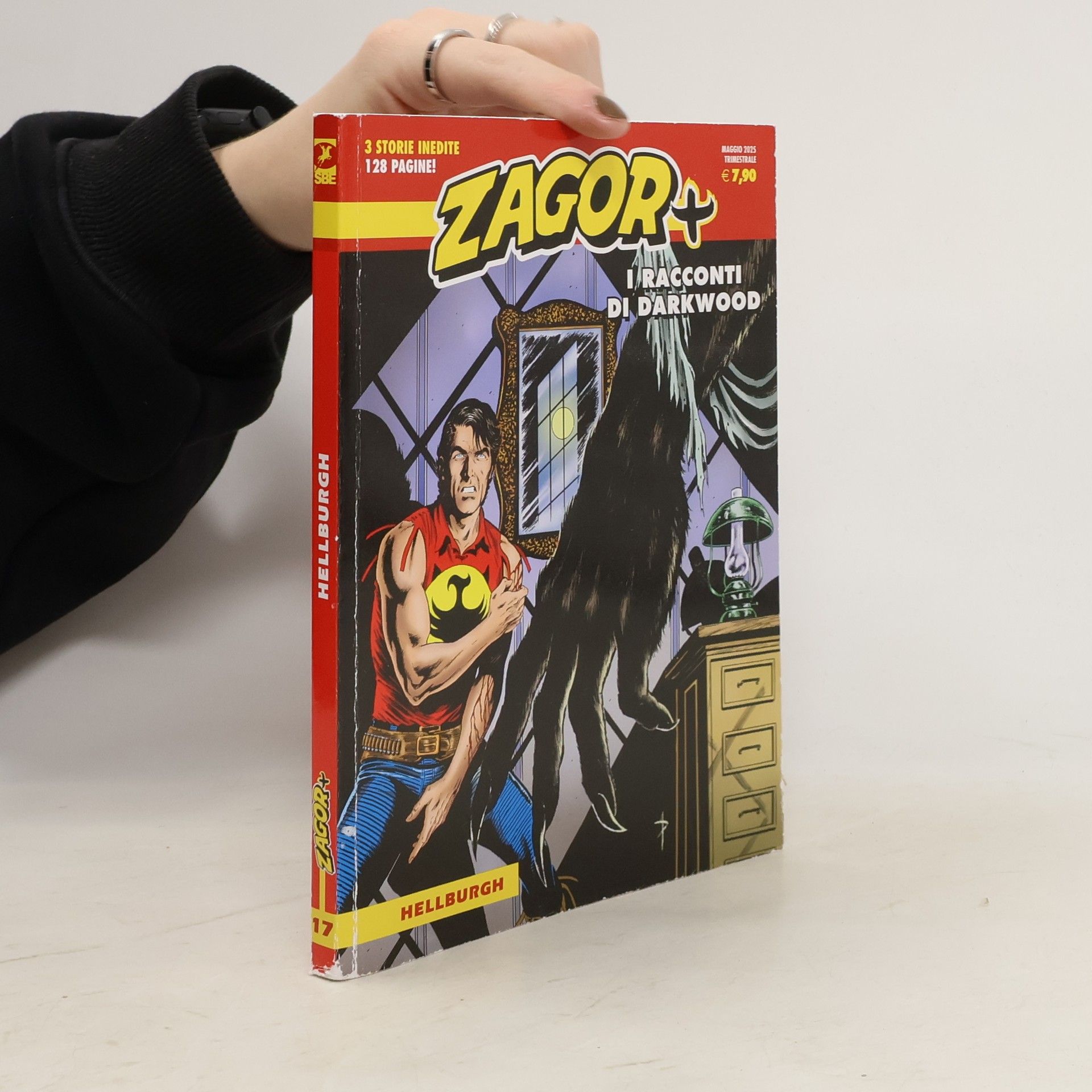 Autorenkollektiv Zagor. Hellburgh 17