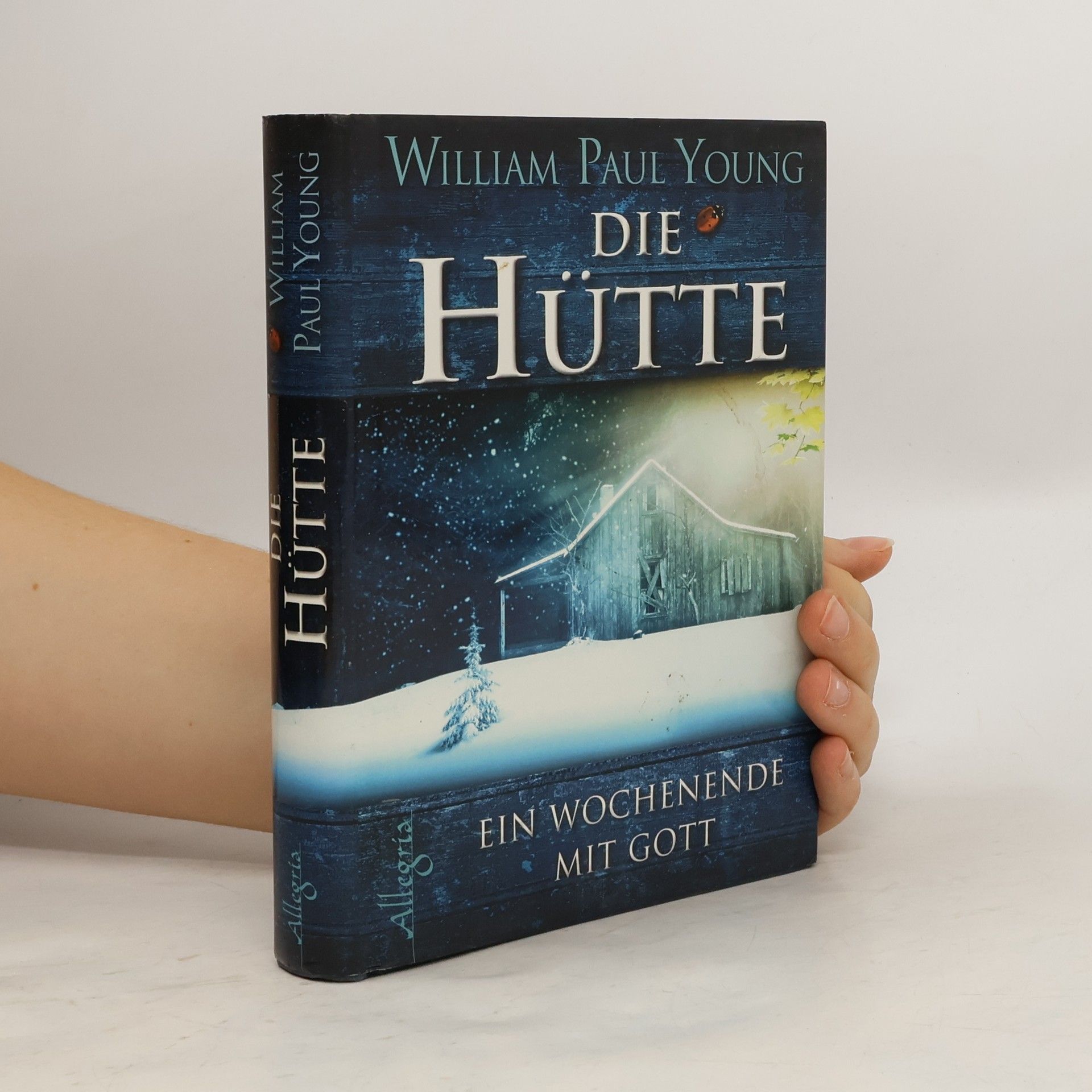 William P. Young Die Hütte