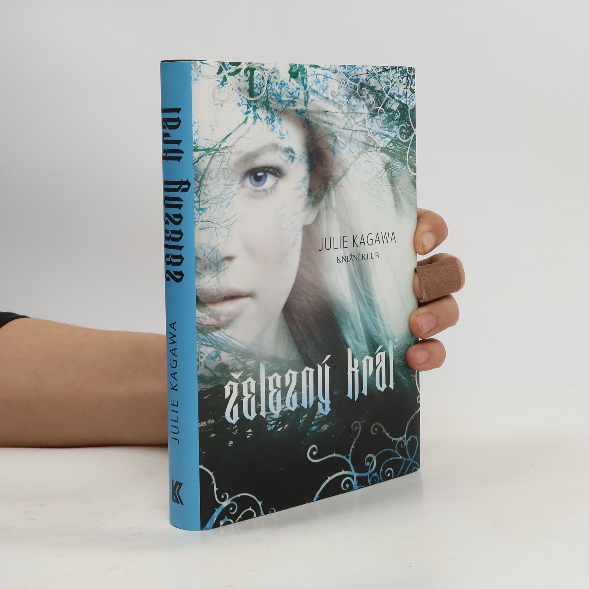 Julie Kagawa Železný král