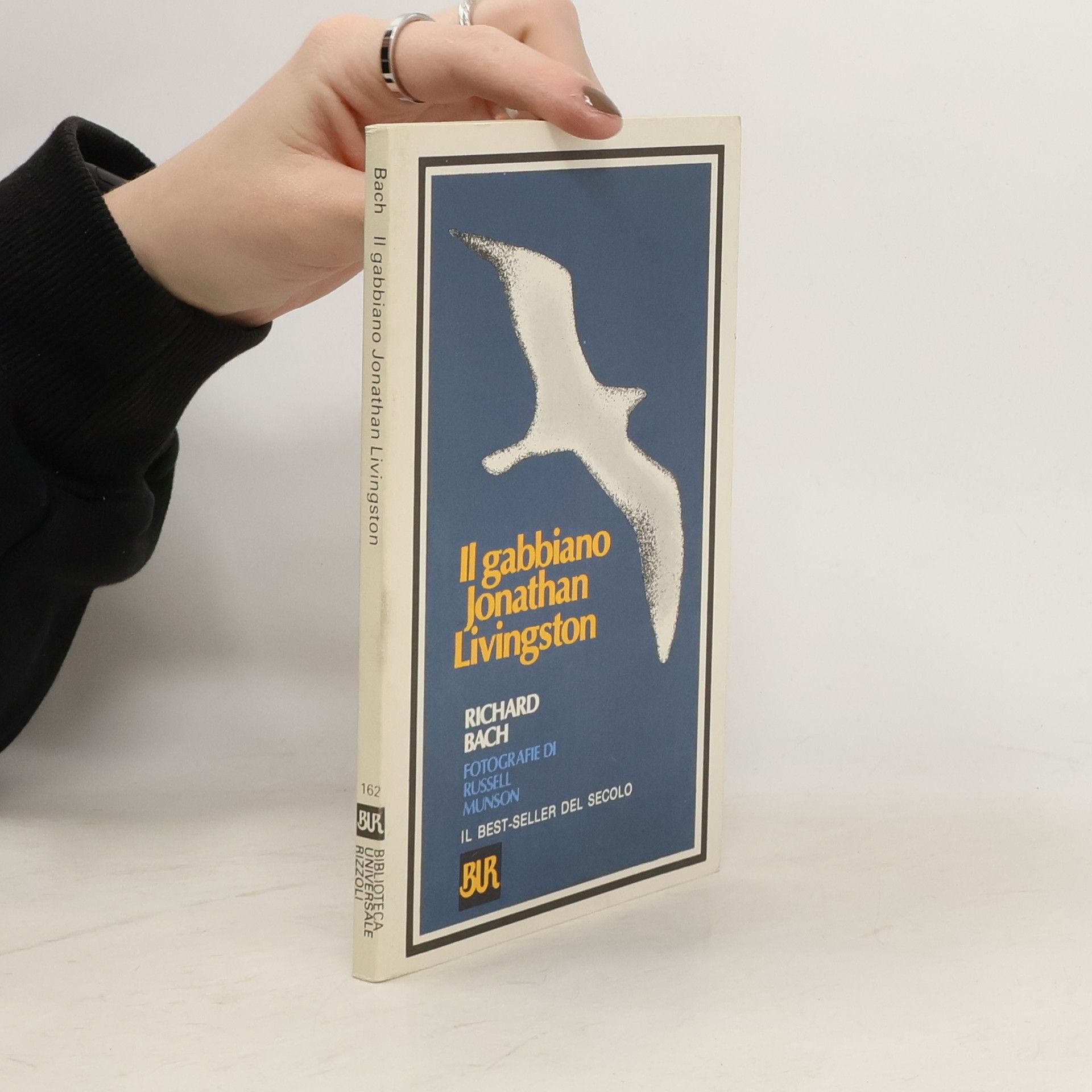 Richard David Bach Il gabbiano Jonathan Livingston