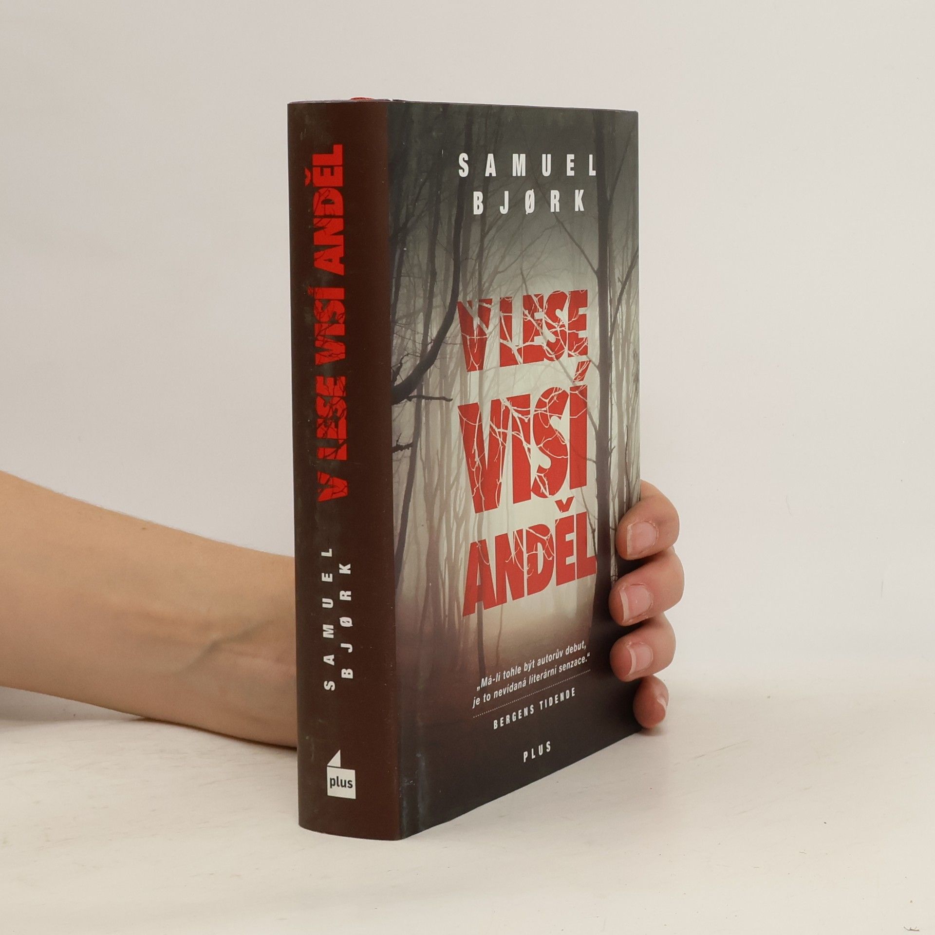 Samuel Bjork V lese visí anděl