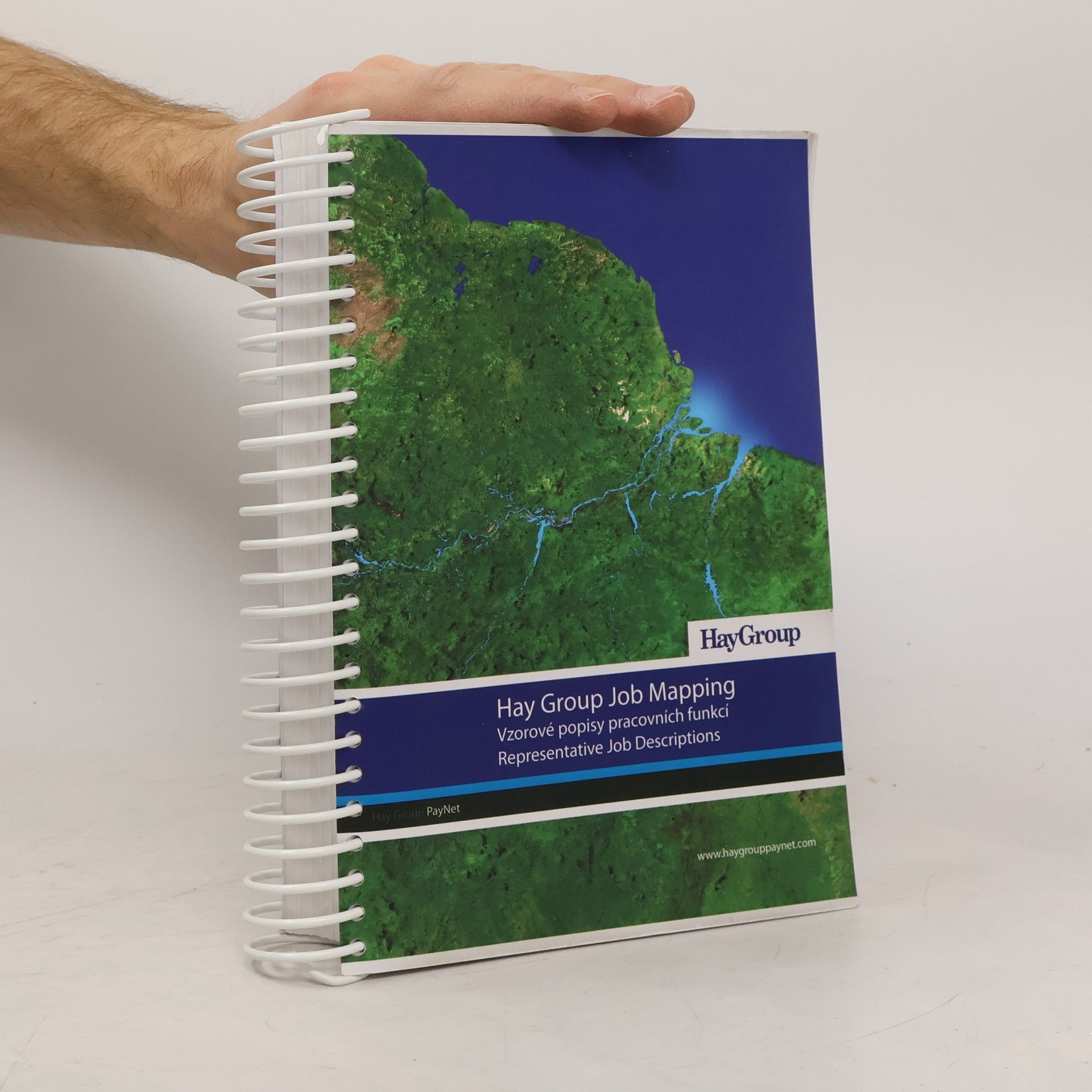 AA.VV. Hay Group Job Mapping: Vzorové popisy pracovních funkcí/Representative Job Descriptions