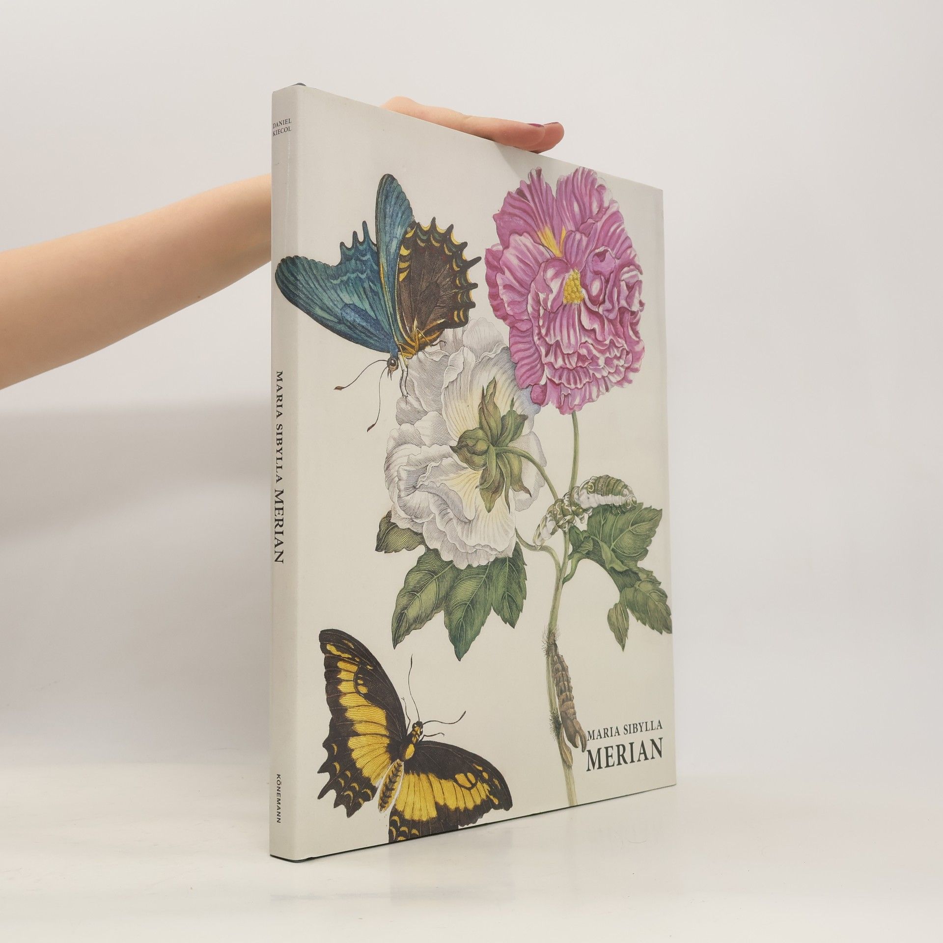 Daniel Kiecol Maria Sibylla Merian