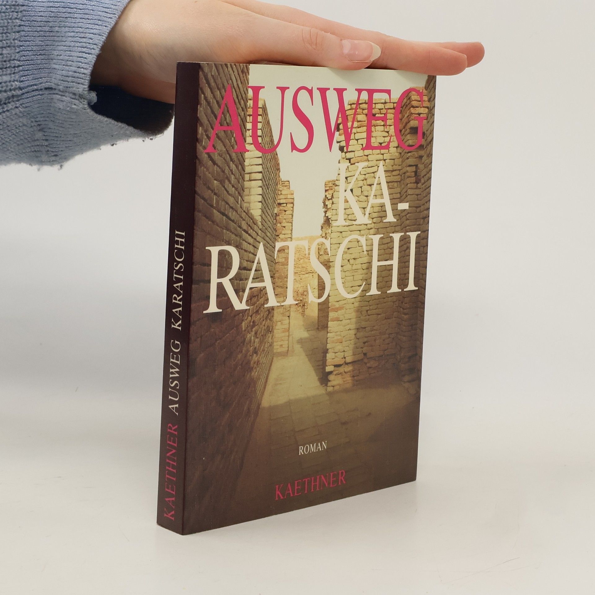 Ausweg Karatschi. Roman