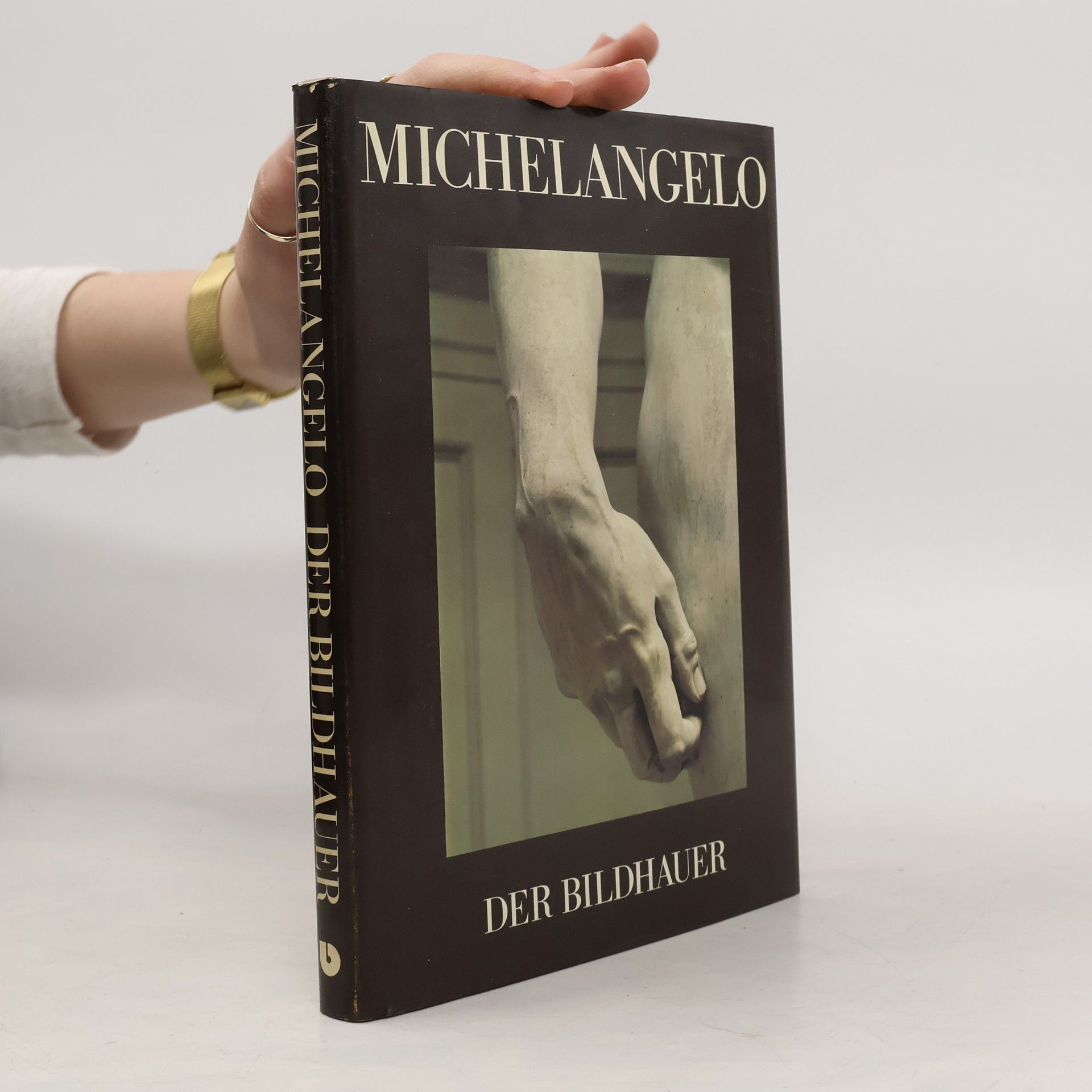 Pierluigi. Maler De Vecchi Michelangelo: Der Maler, Der Bildhauer, Der Architekt