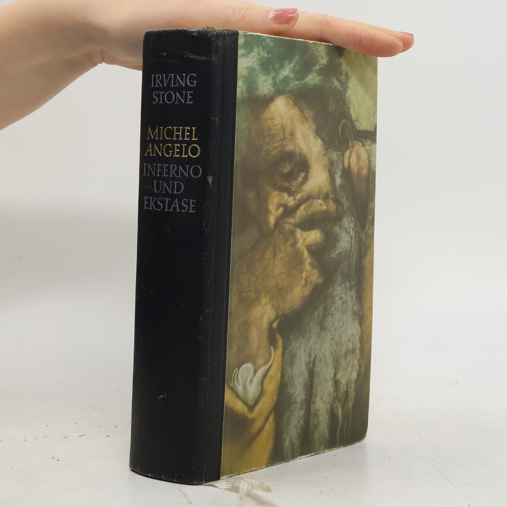 Michelangelo. Inferno und Ekstatse