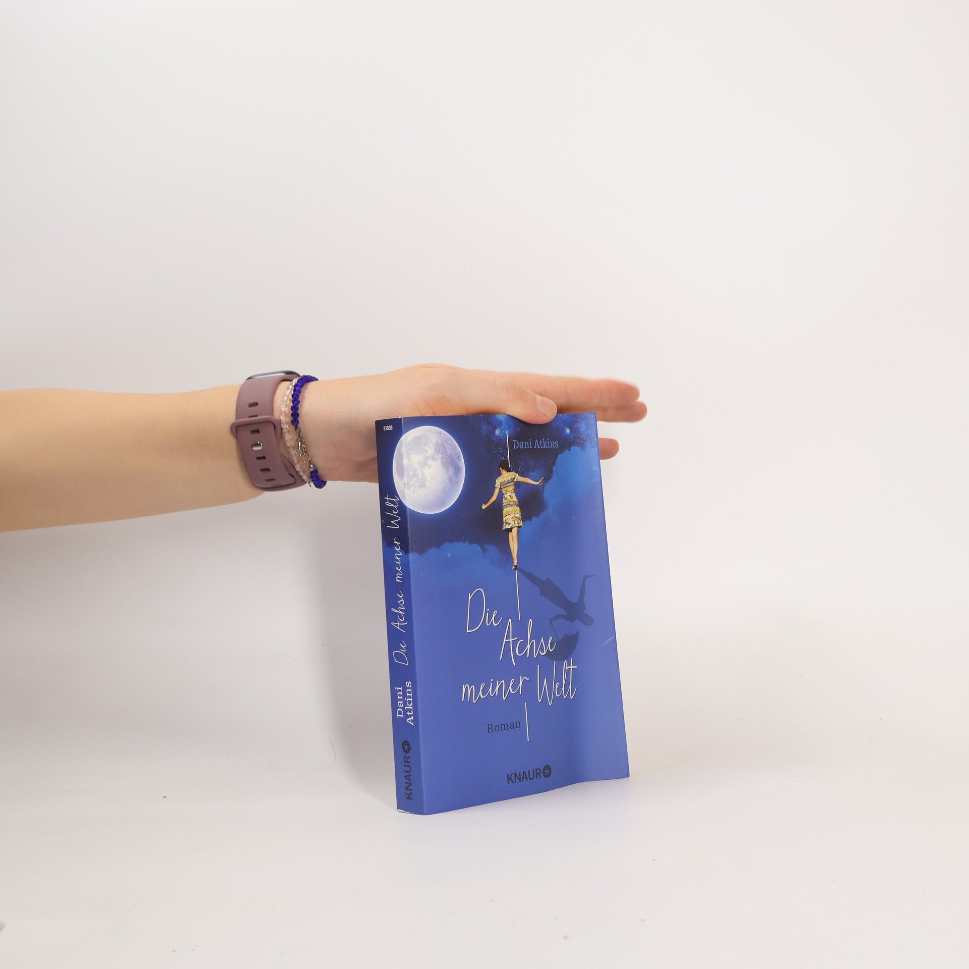 Die Achse meiner Welt