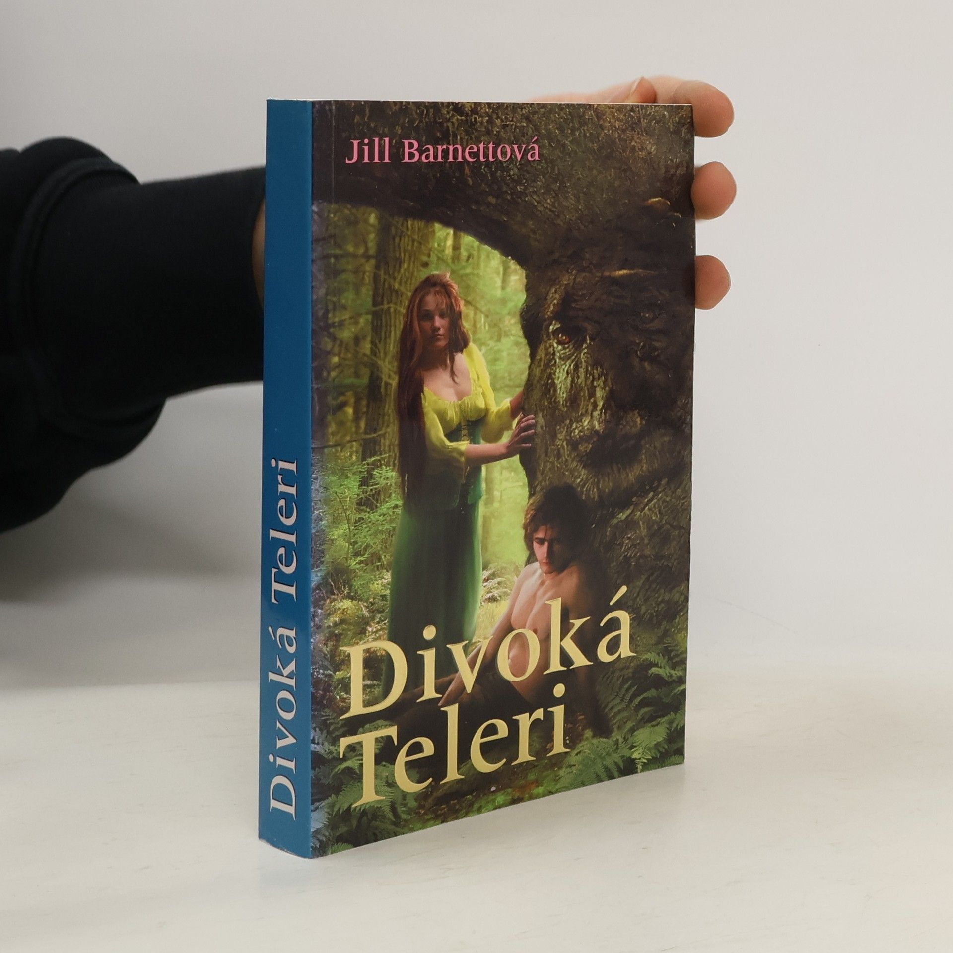 Jill Barnett Divoká Teleri