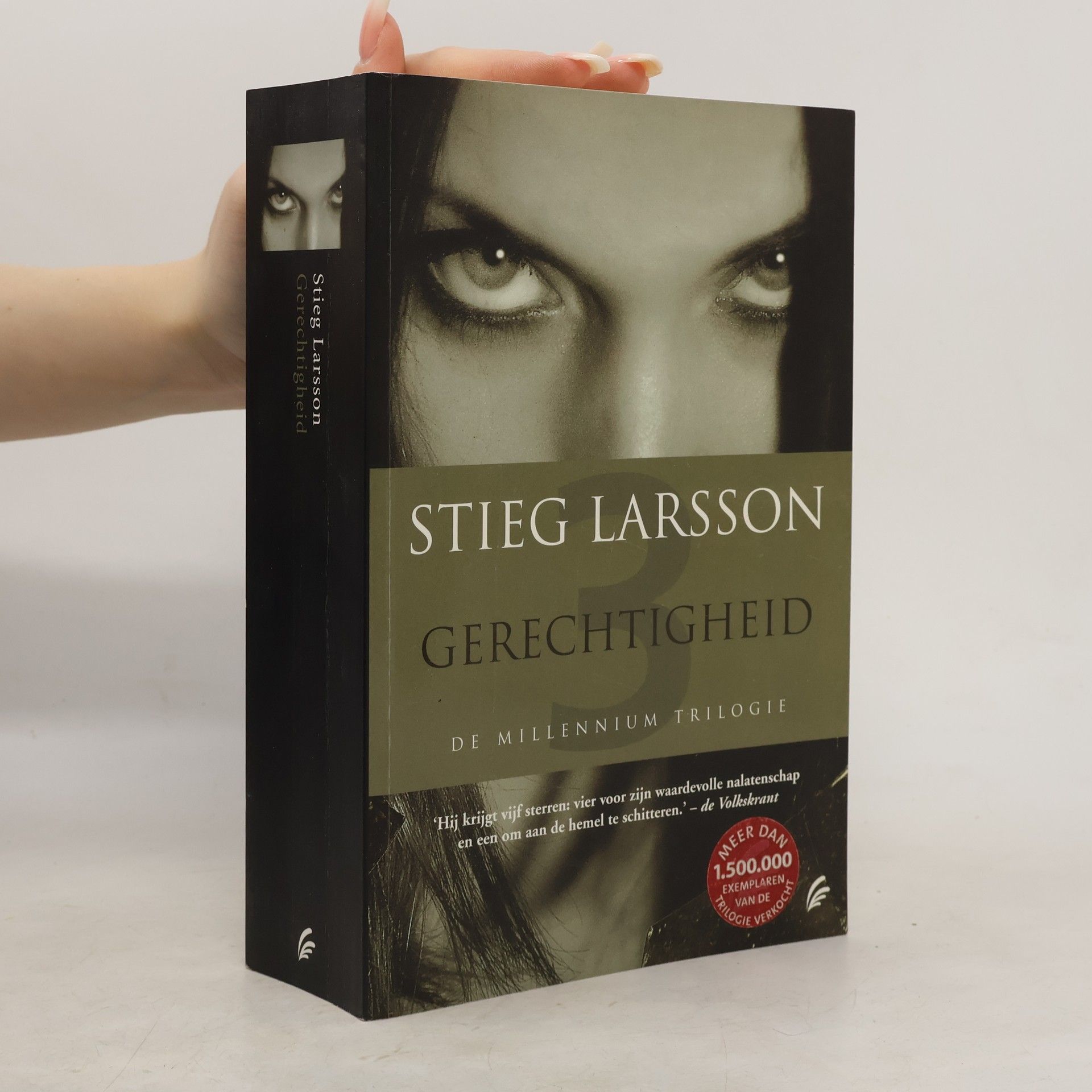 Stieg Larsson Gerechtigheid
