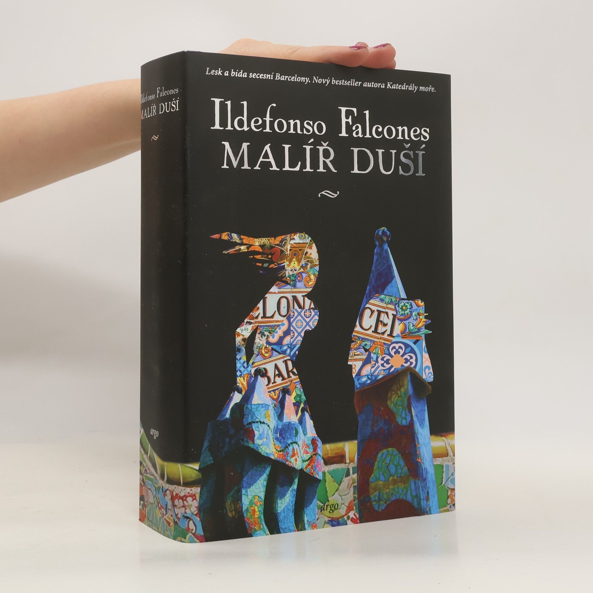 Ildefonso Falcones Malíř duší