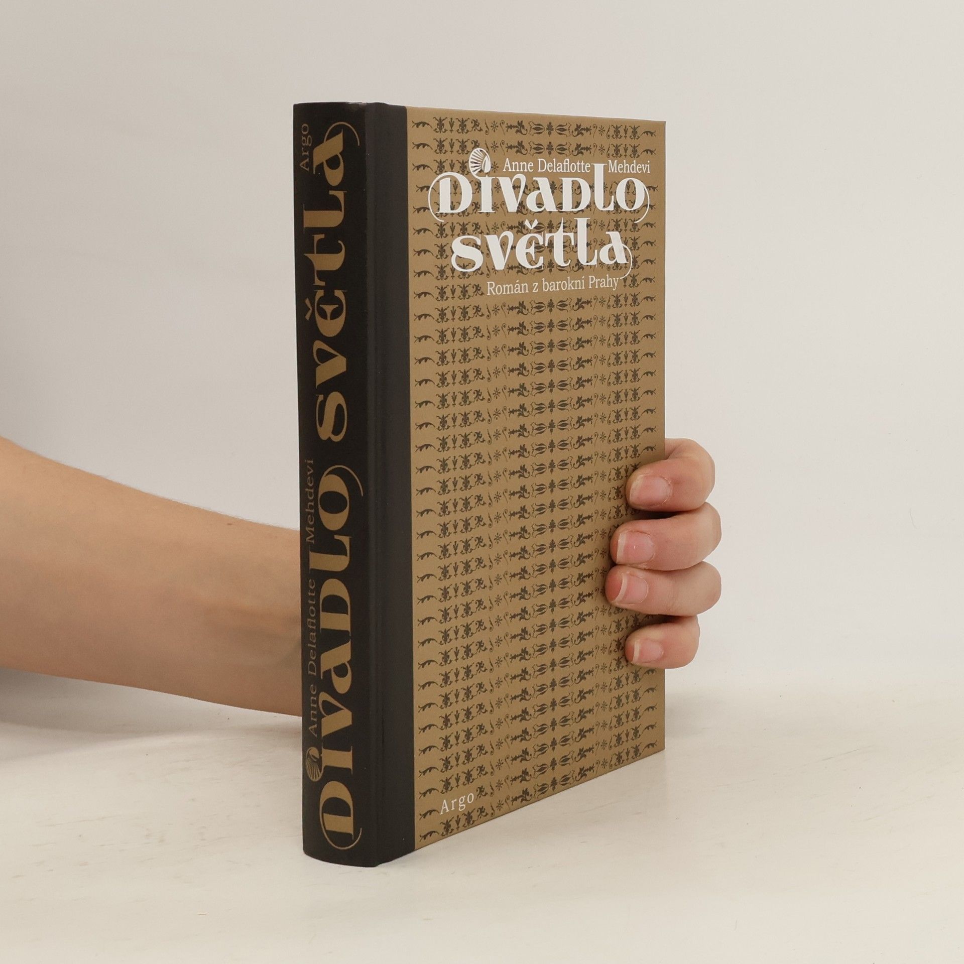 Anne Delaflotte Mehdevi Divadlo světla