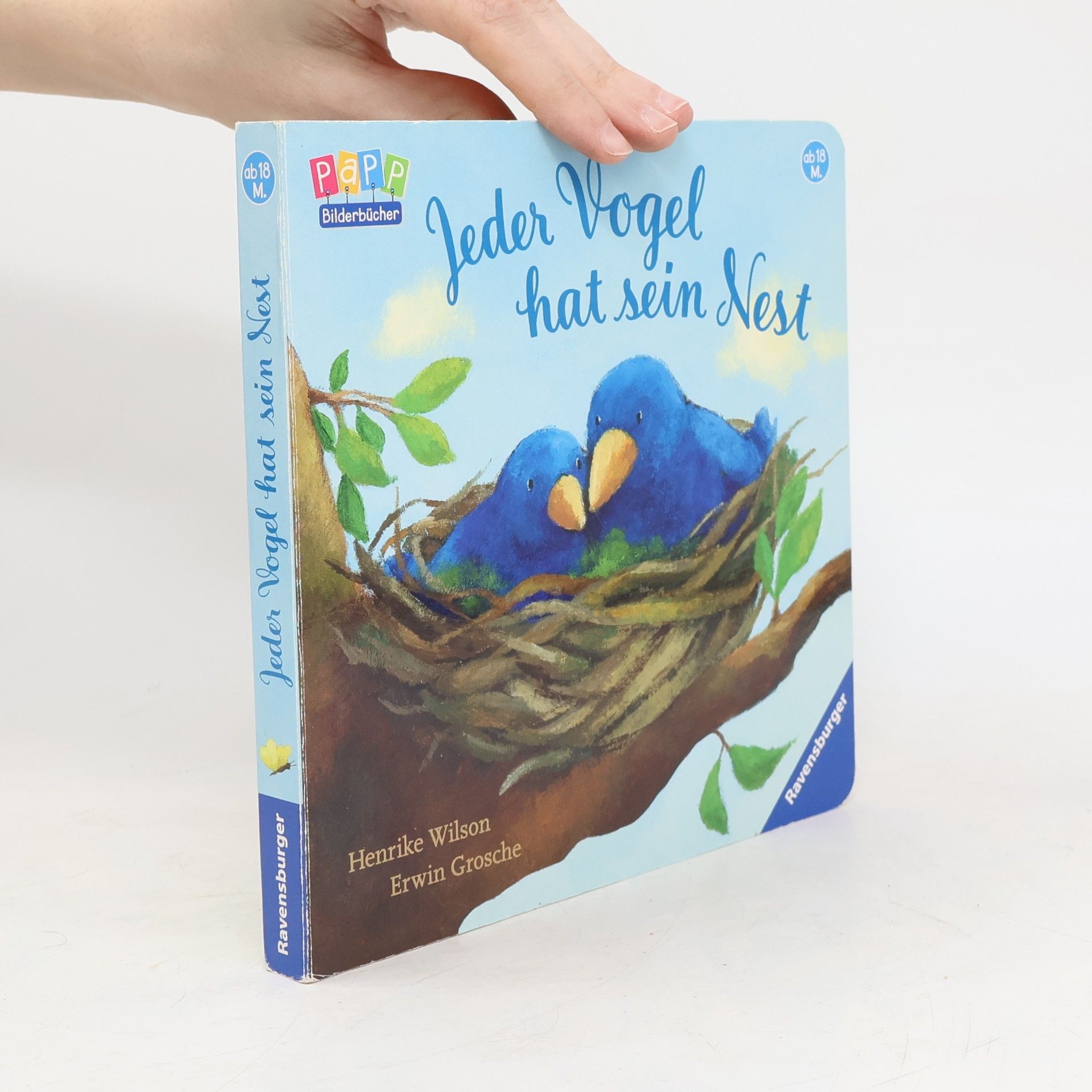 Erwin Grosche Jeder Vogel hat sein Nest