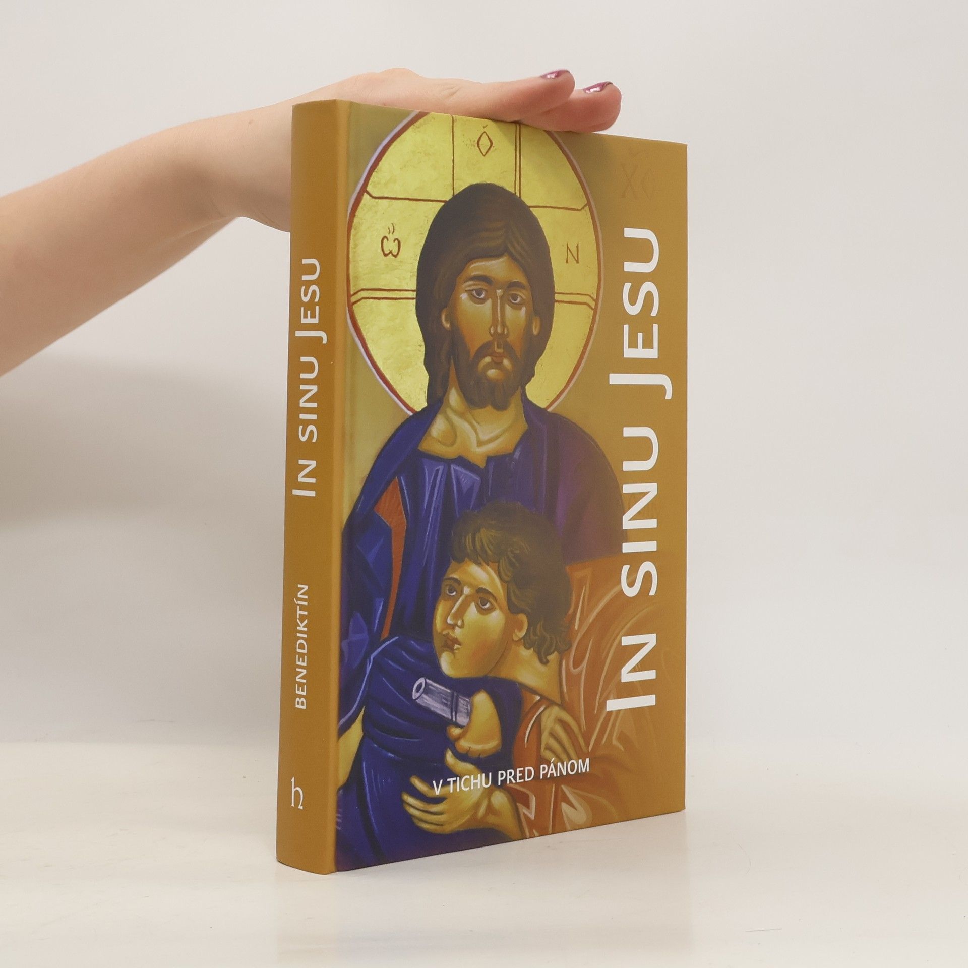 Kolektív autorov In sinu Jesu
