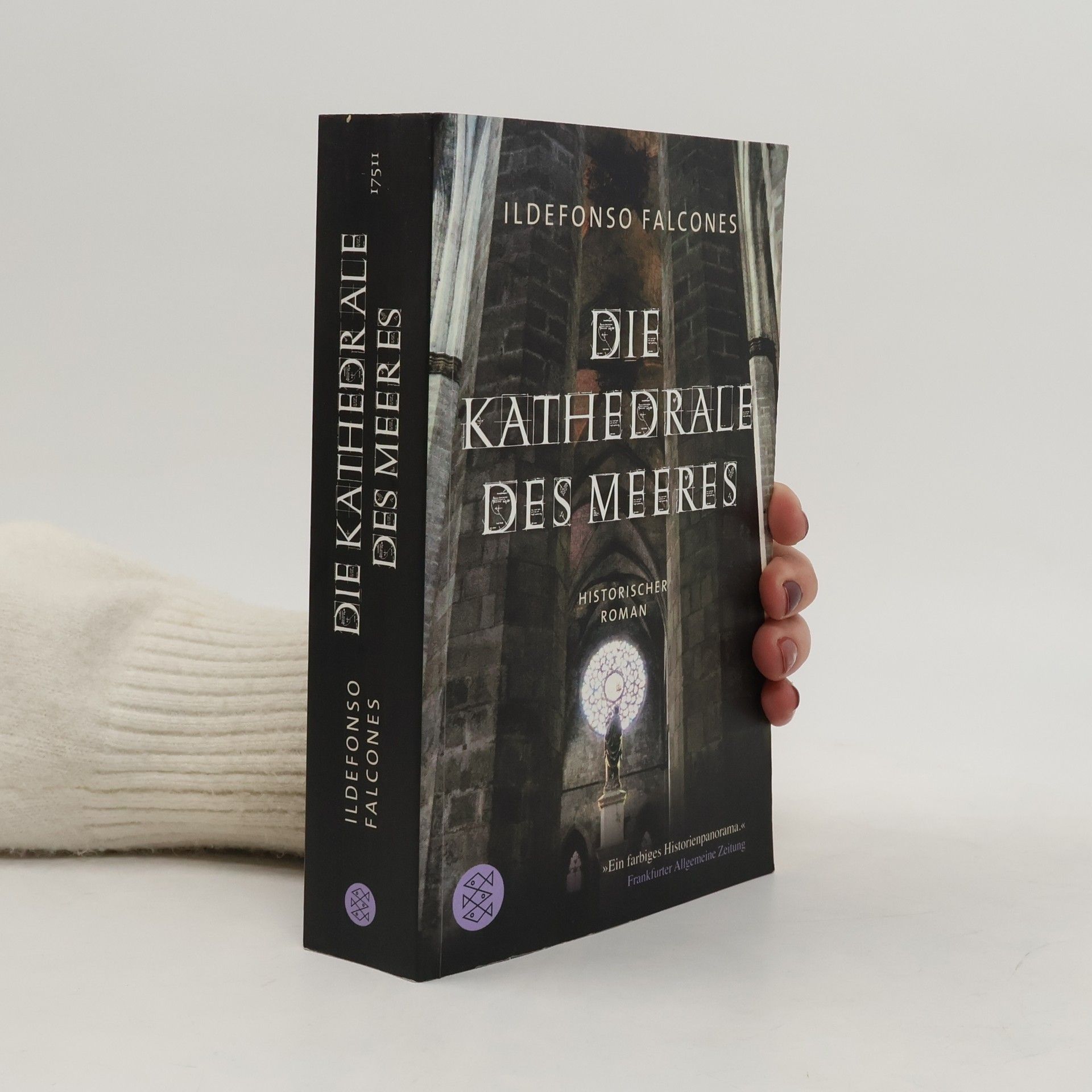 Ildefonso Falcones Die Kathedrale des Meeres
