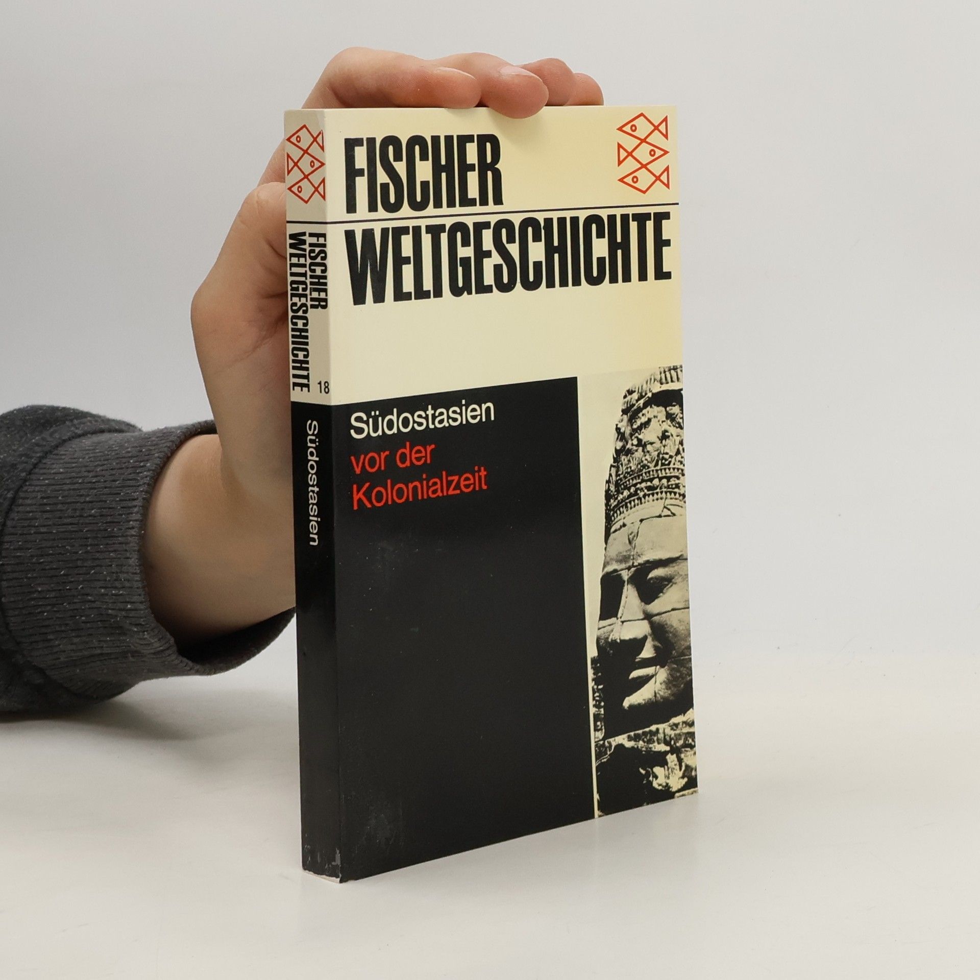 Fischer Weltgeschichte