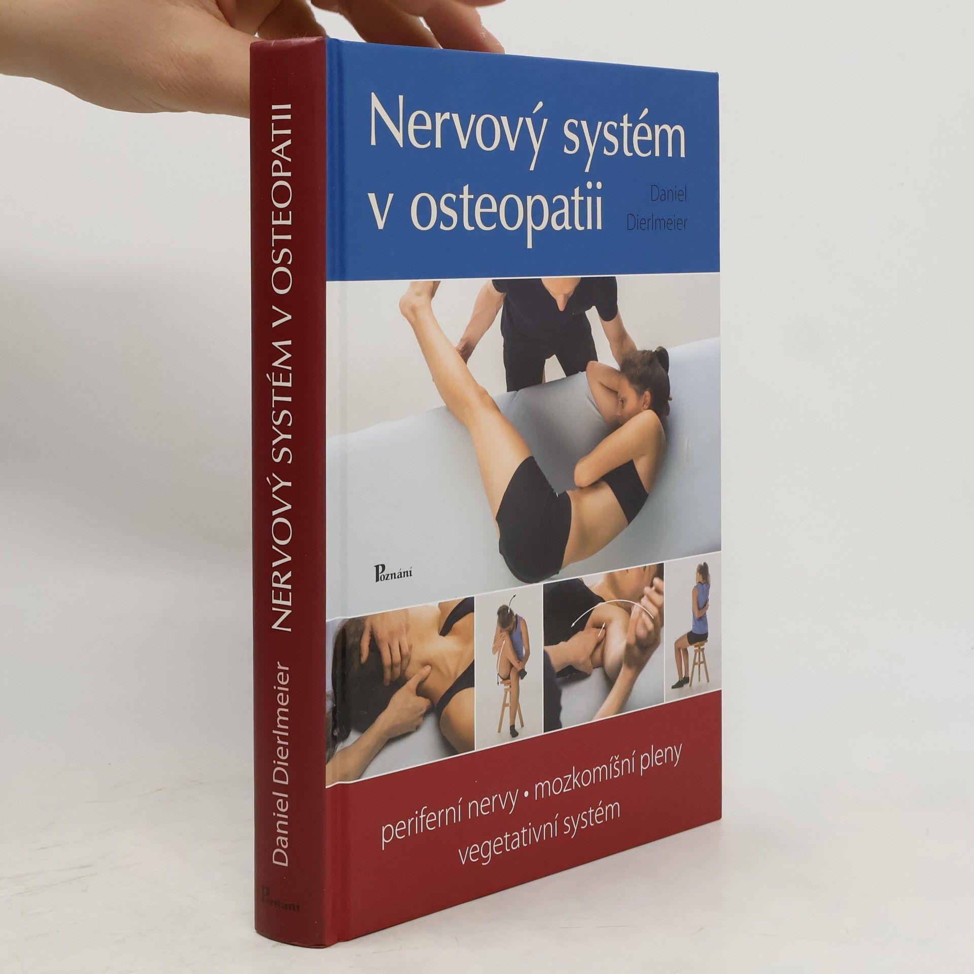 Nervový systém v osteopatii