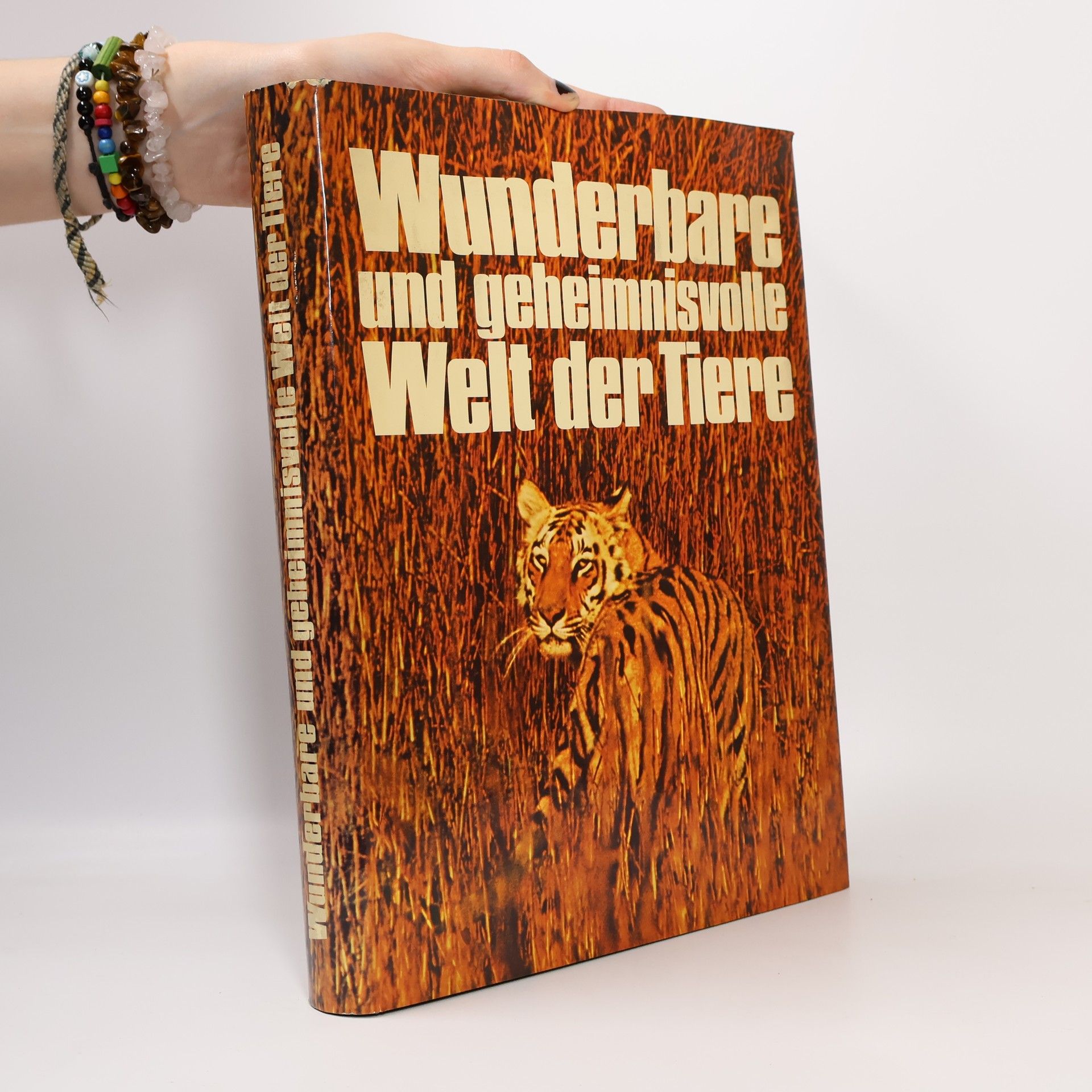 Wunderbare und geheimnisvolle Welt der Tiere