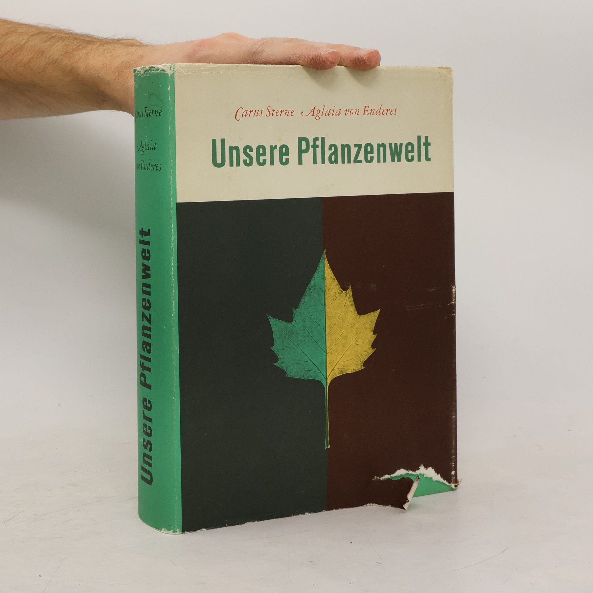 Aglaia von Enderes Unsere Pflanzenwelt