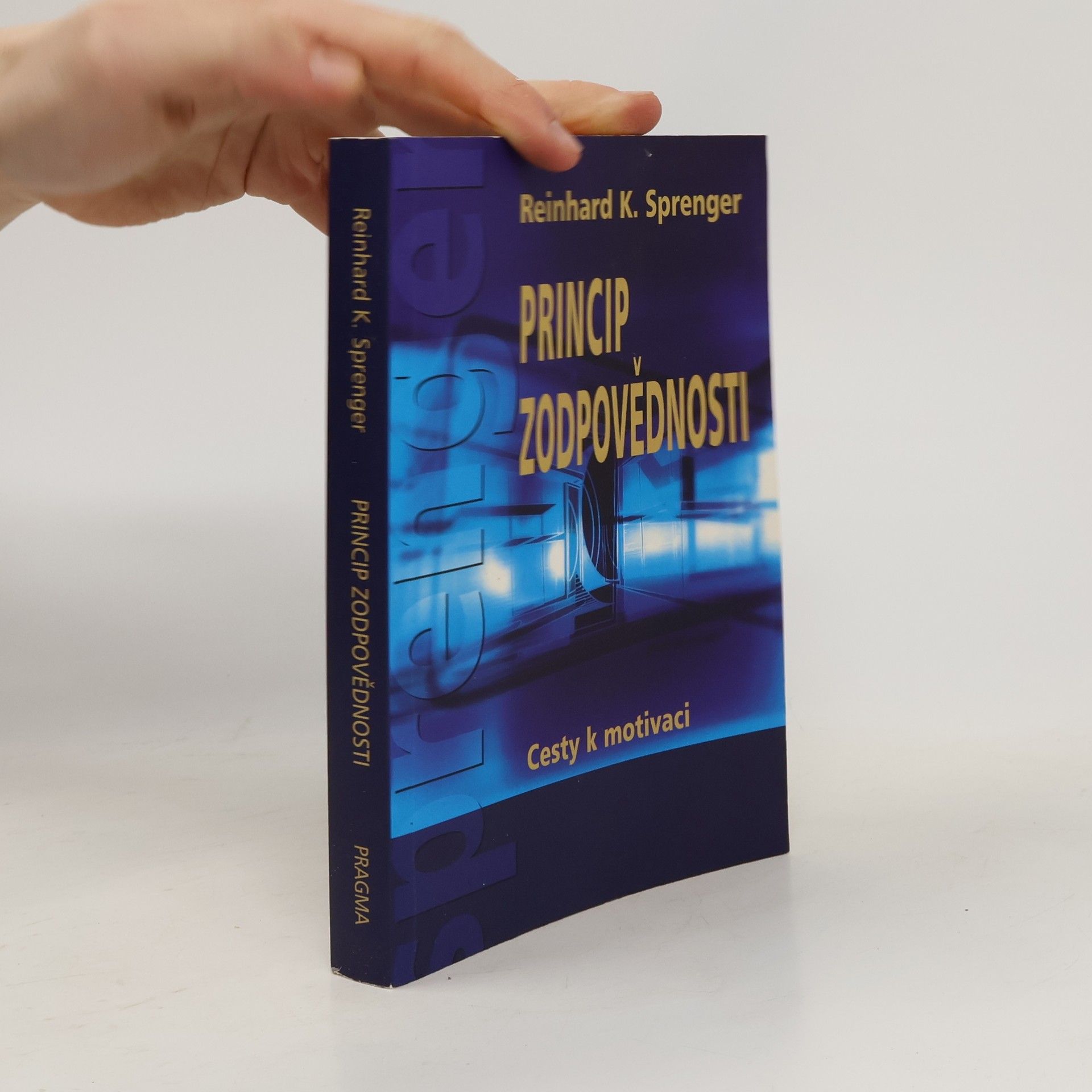 Princip zodpovědnosti : cesty k motivaci