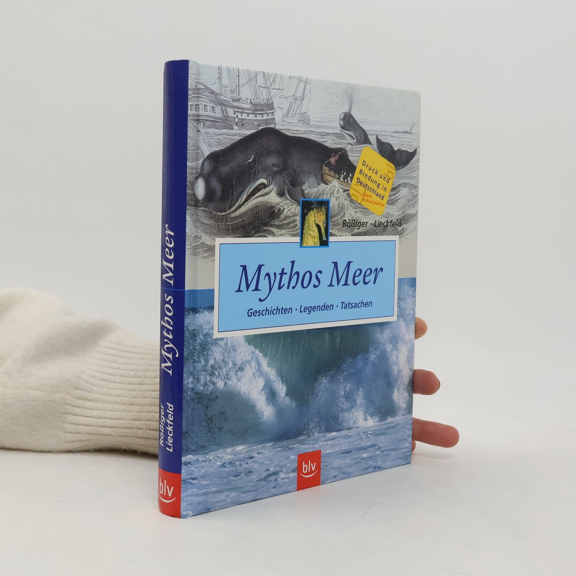 Monika Rößiger Mythos Meer