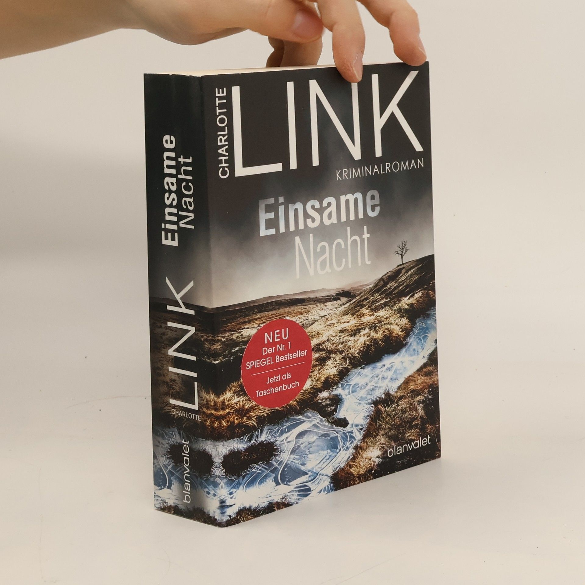 Charlotte Link Einsame Nacht