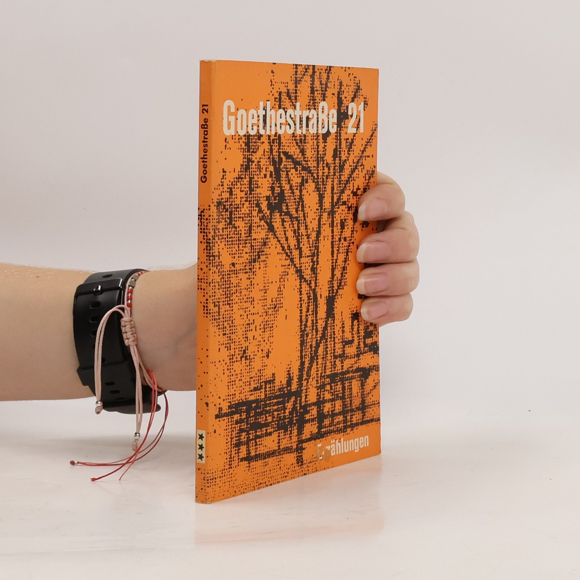 Collectif d'auteurs Goethestrasse 21