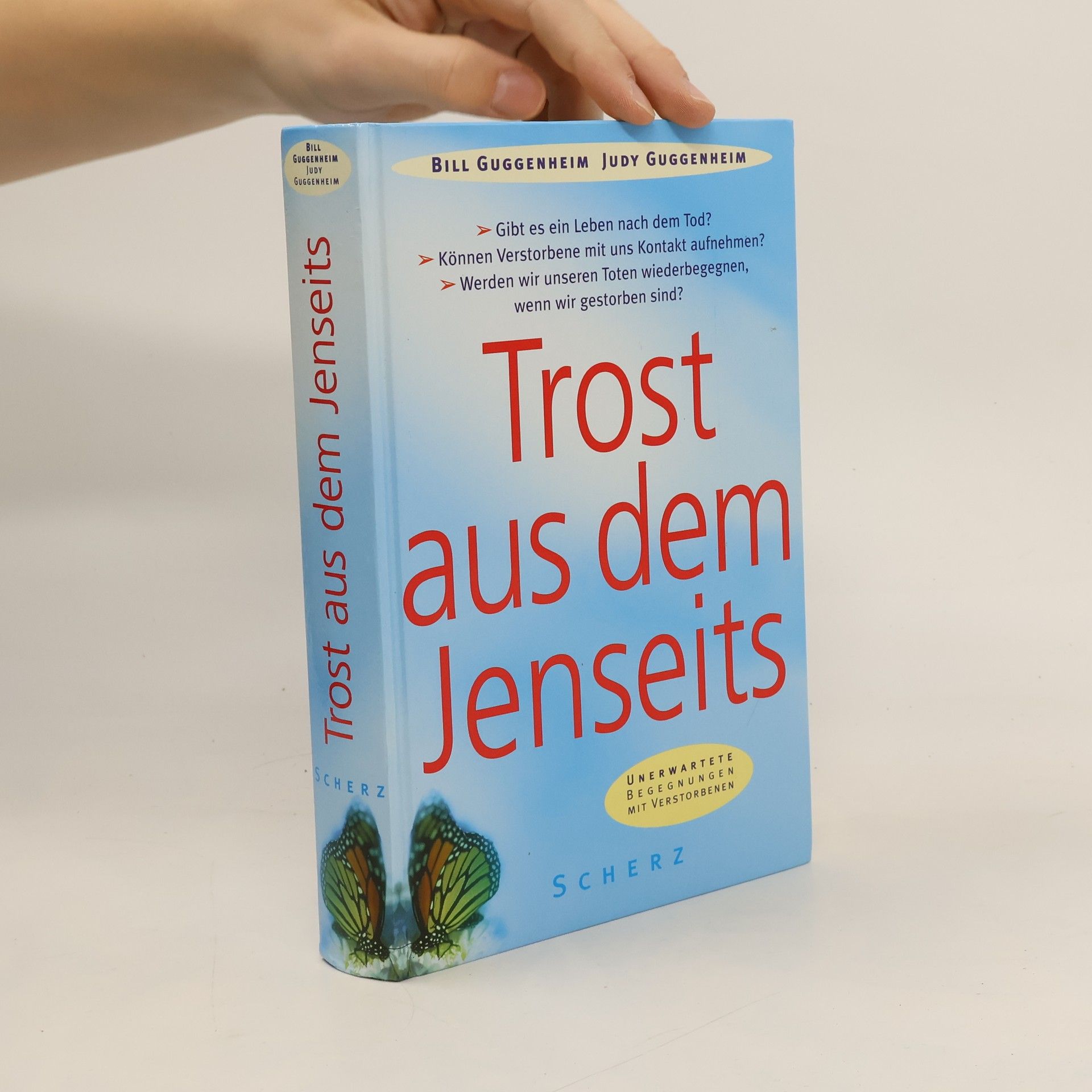 Bill Guggenheim Trost aus dem Jenseits