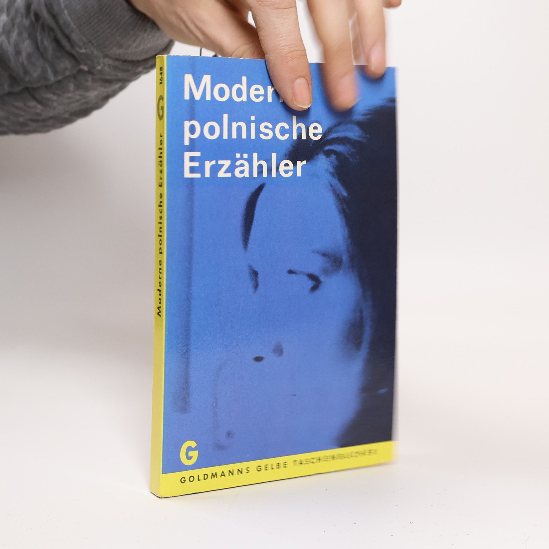 Various authors Moderne polnische Erzähler