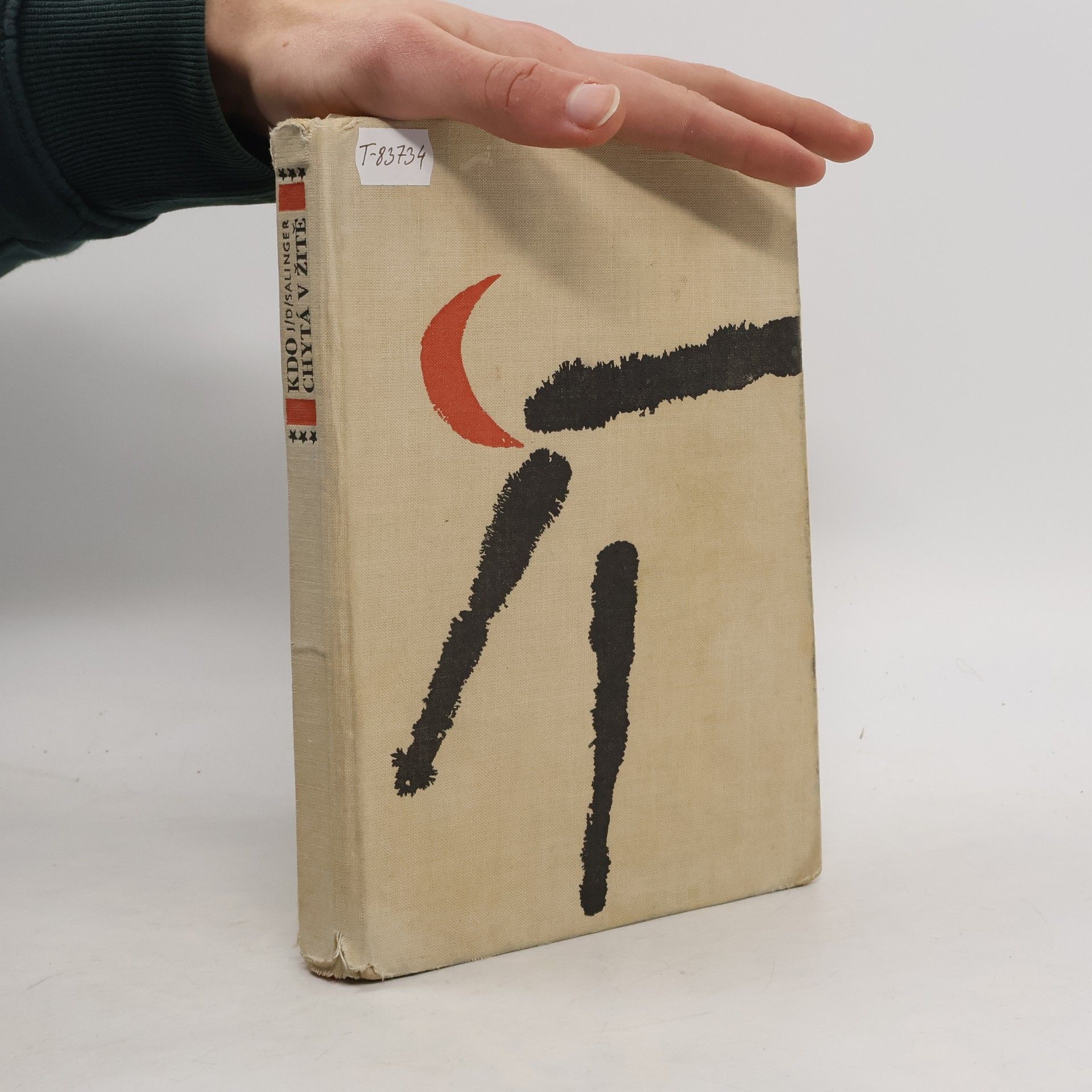 Jerome David Salinger Kdo chytá v žitě