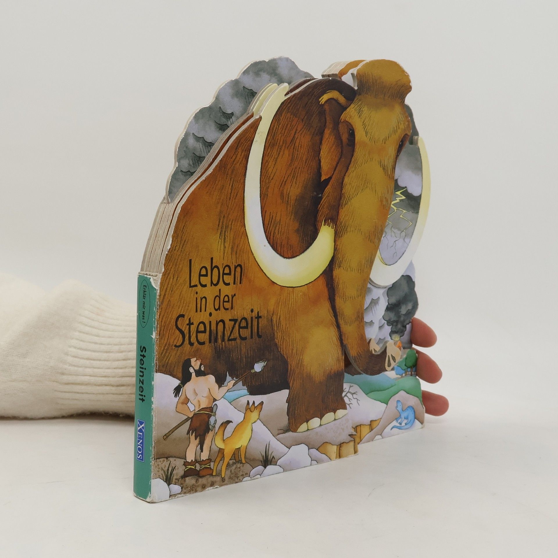 Leben in der Steinzeit