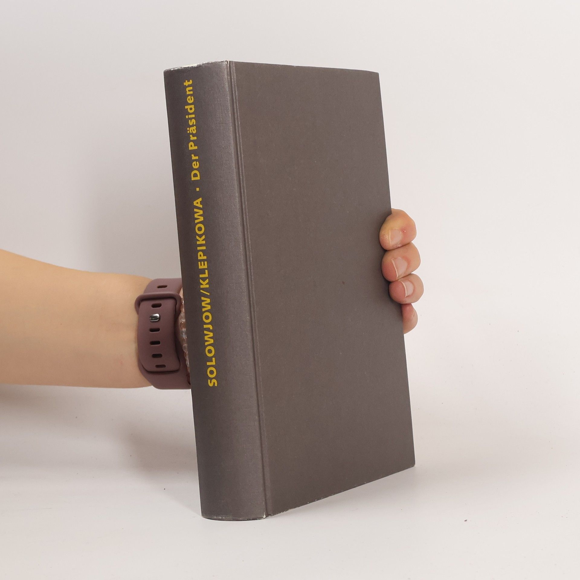 Vladimir Ivanovich Solovʹev Der Präsident