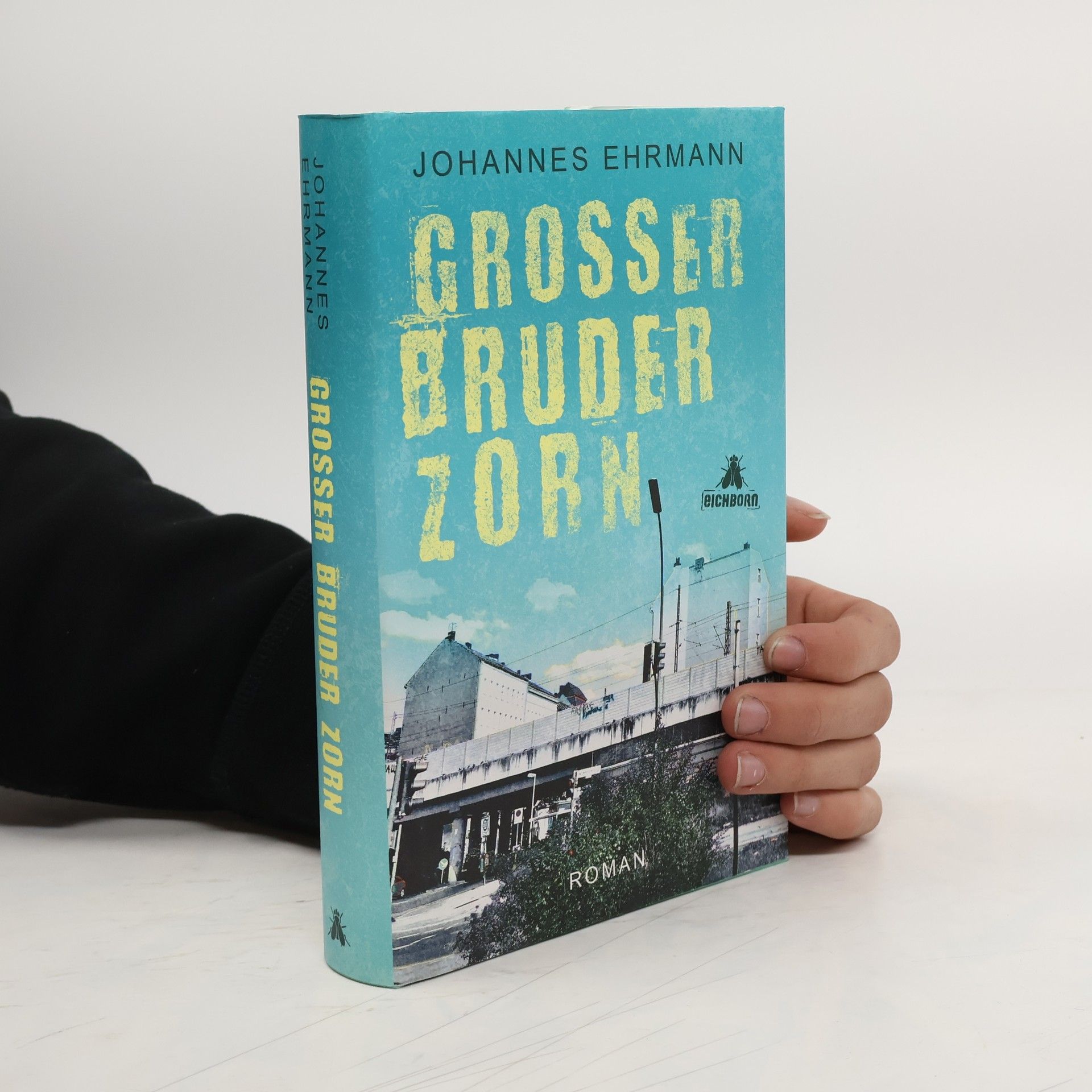 Johannes Ehrmann Großer Bruder Zorn