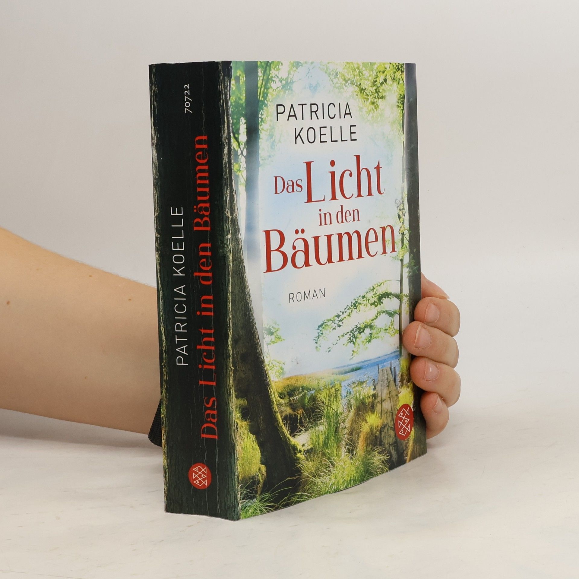 Patricia Koelle Das Licht in den Bäumen