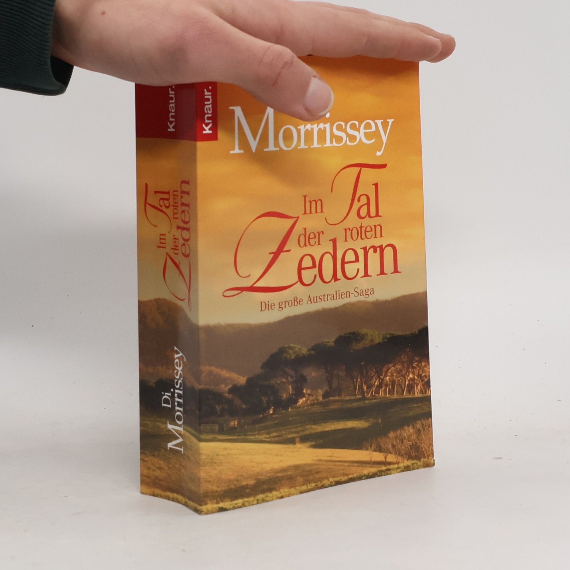 Di Morrissey Im Tal der roten Zedern