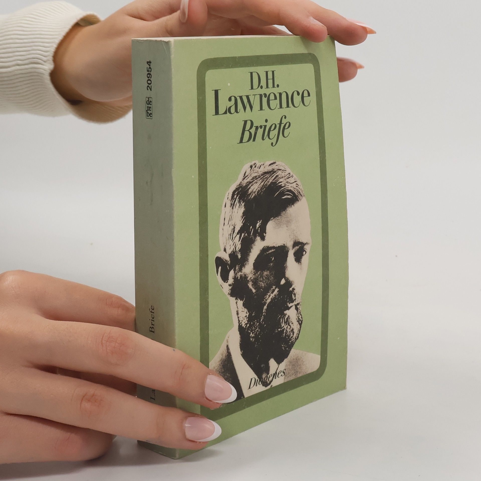 D. H. Lawrence Diogenes Taschenbuch: Briefe