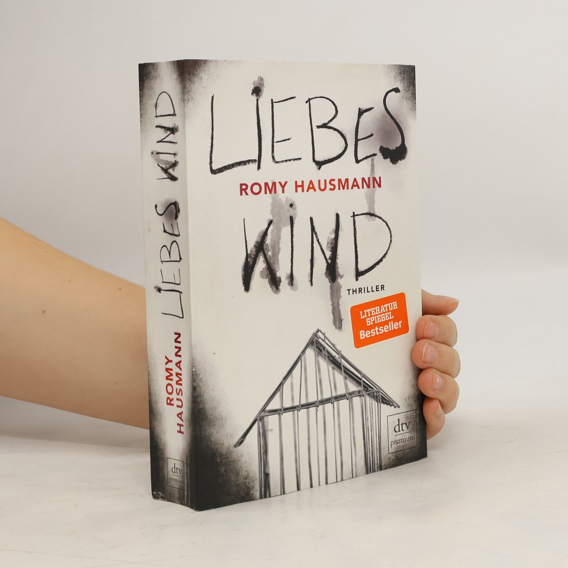 Romy Hausmann Liebes Kind