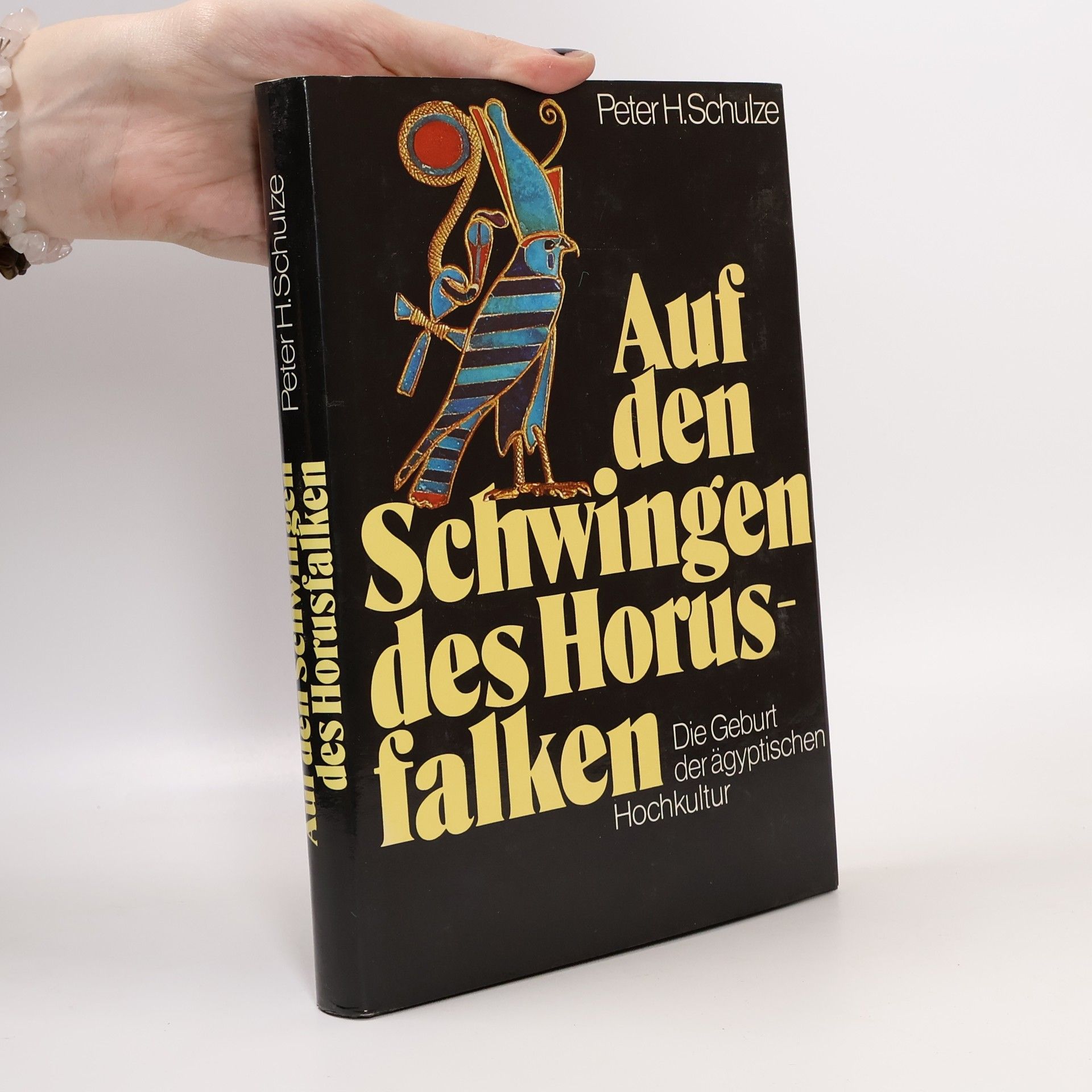 Auf den Schwingen des Horusfalken