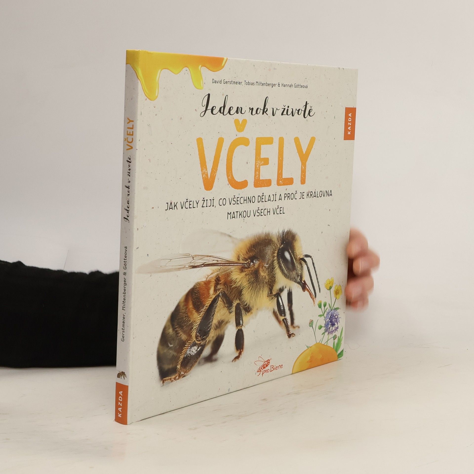 David Gerstmeier Jeden rok v životě včely