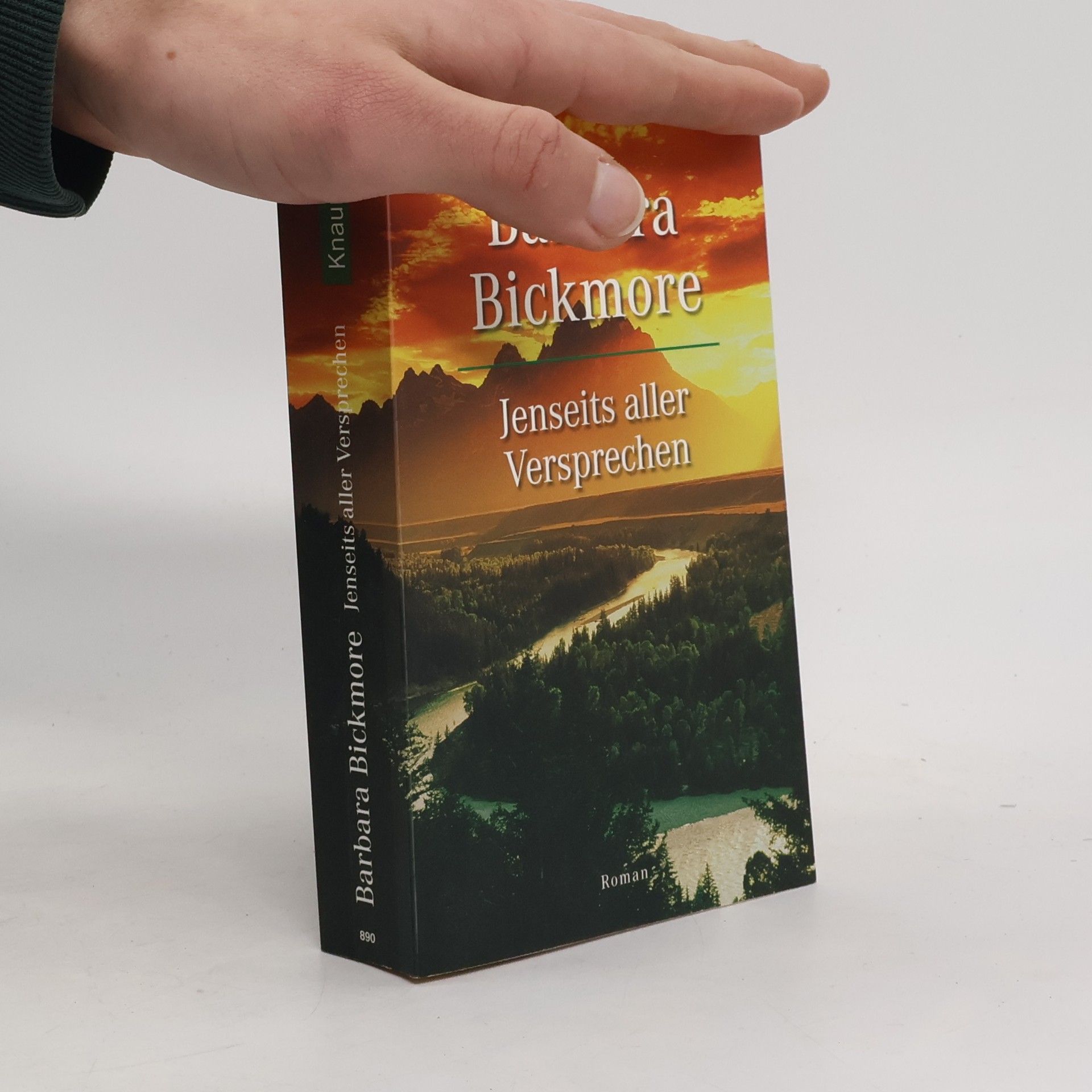 Jenseits aller Versprechen