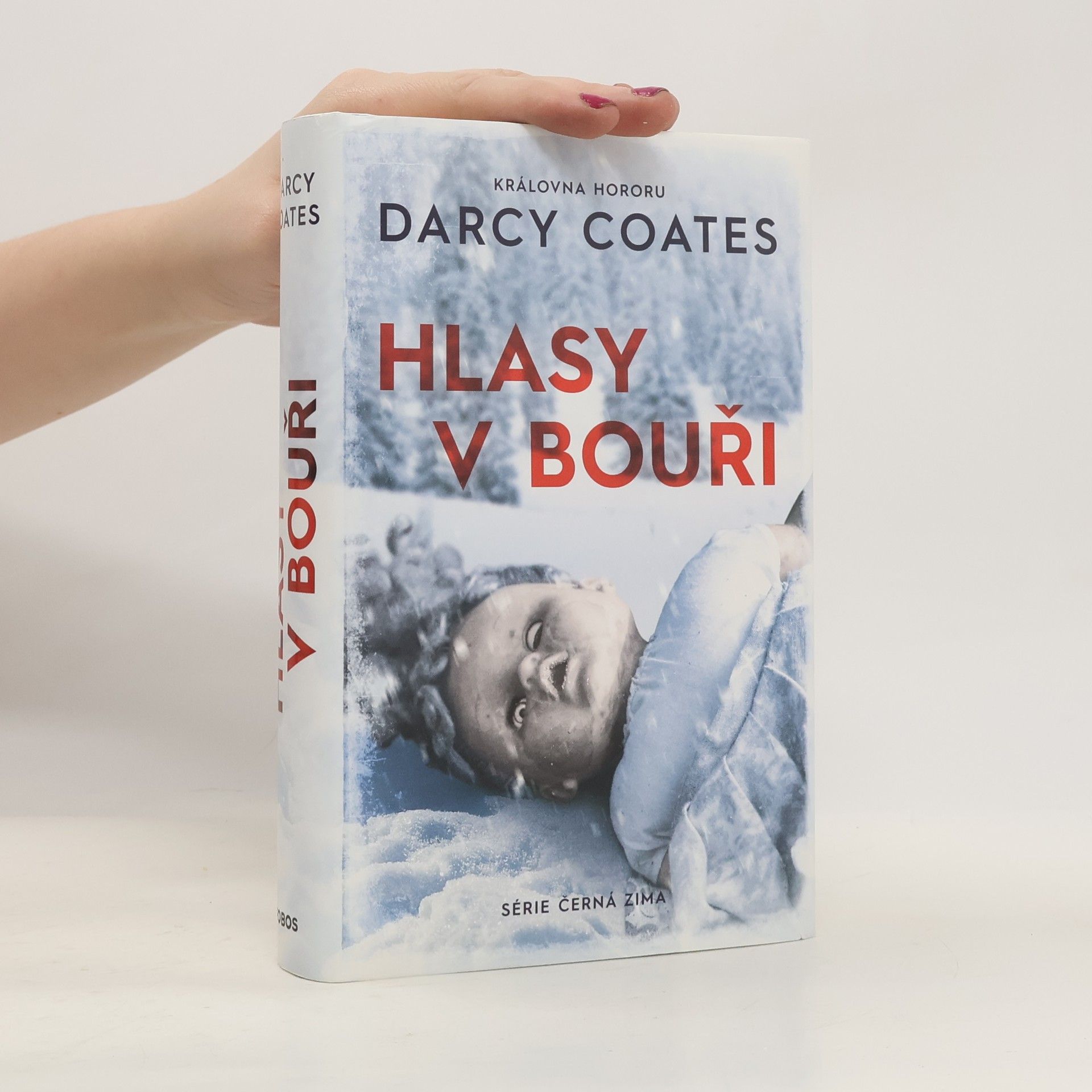 Darcy Coates Hlasy v bouři