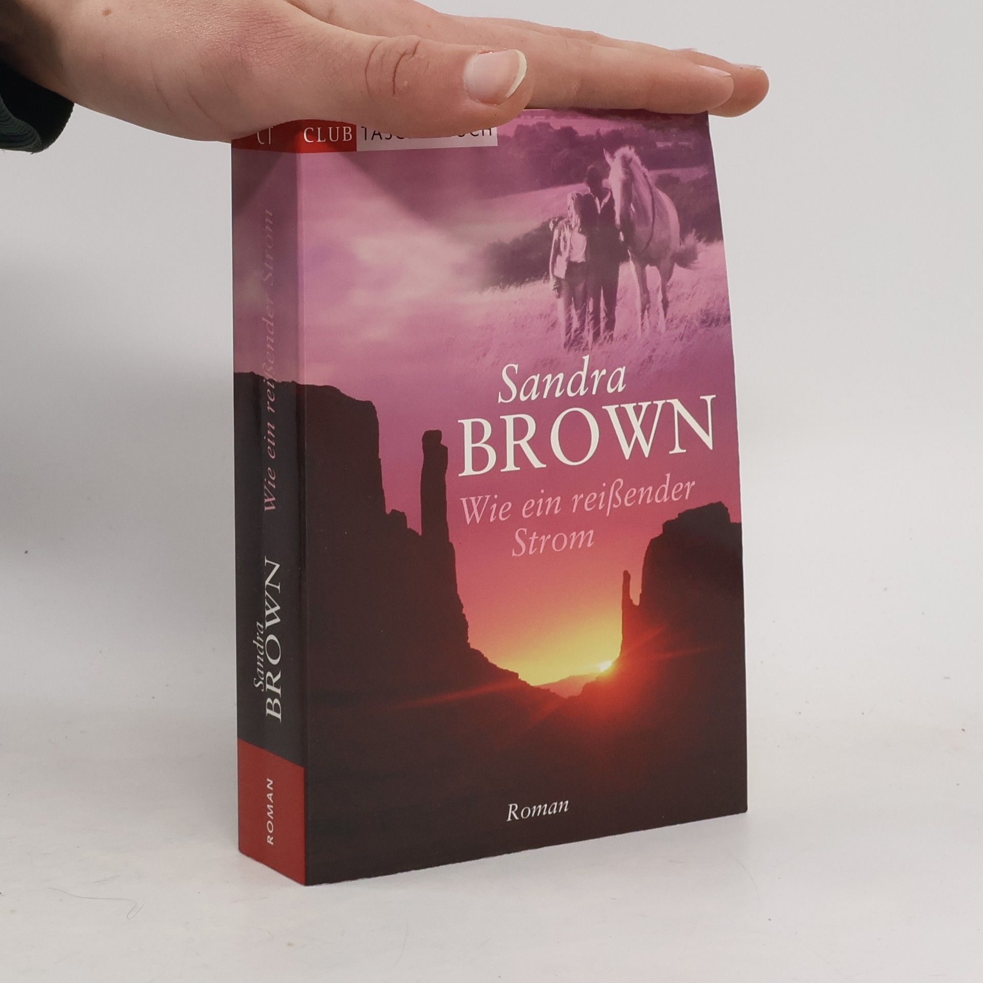 Sandra Brown Wie ein reißender Strom