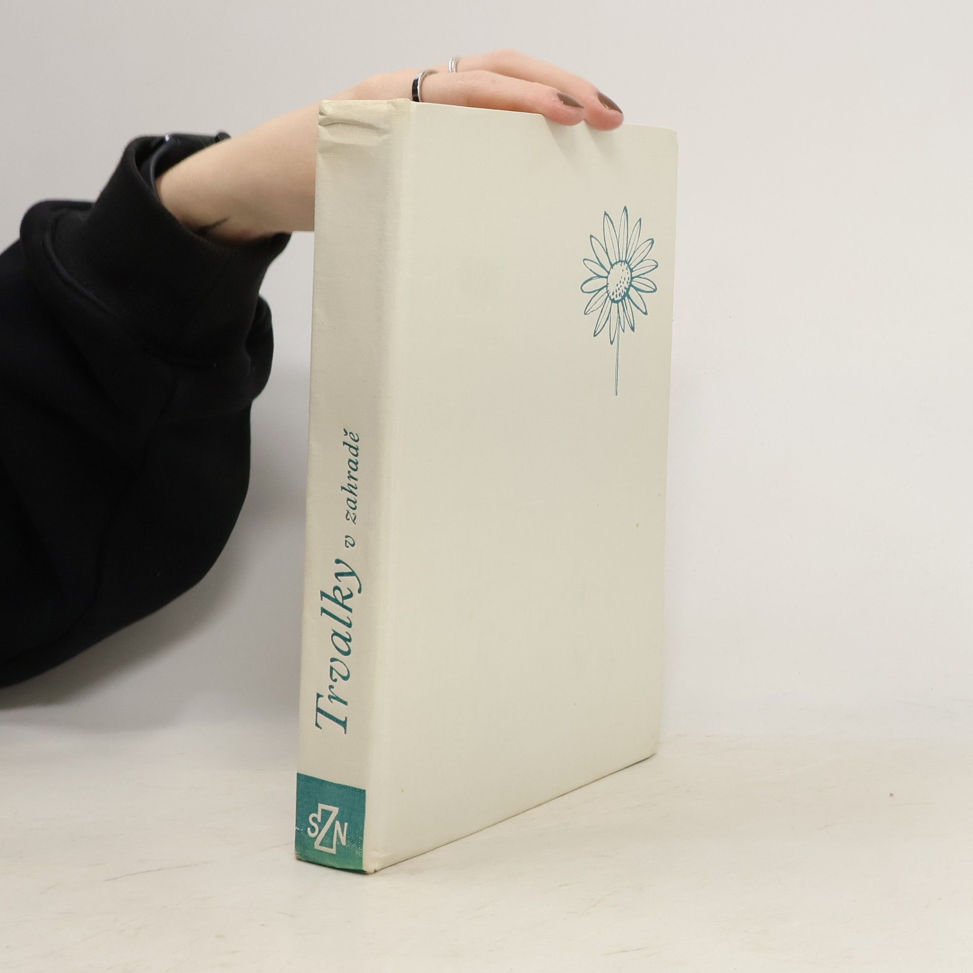 Kolektiv autorů Trvalky v zahradě