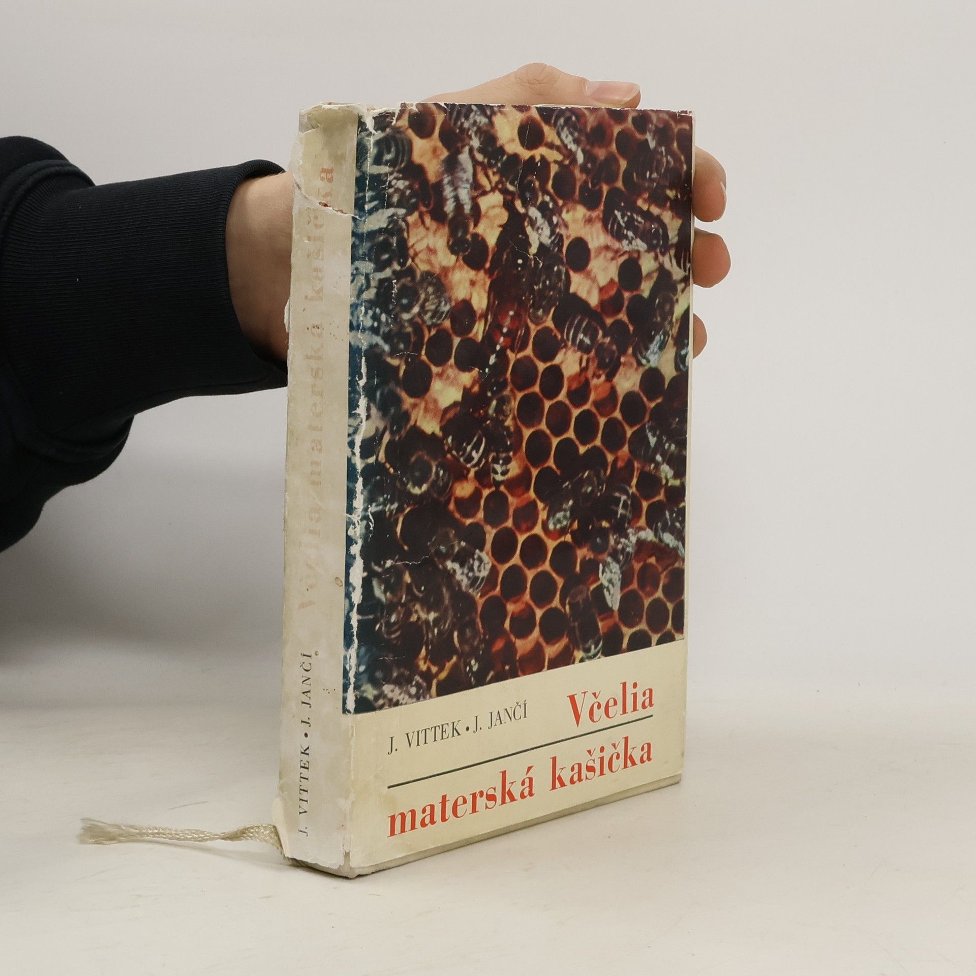 Včelia materská kašička