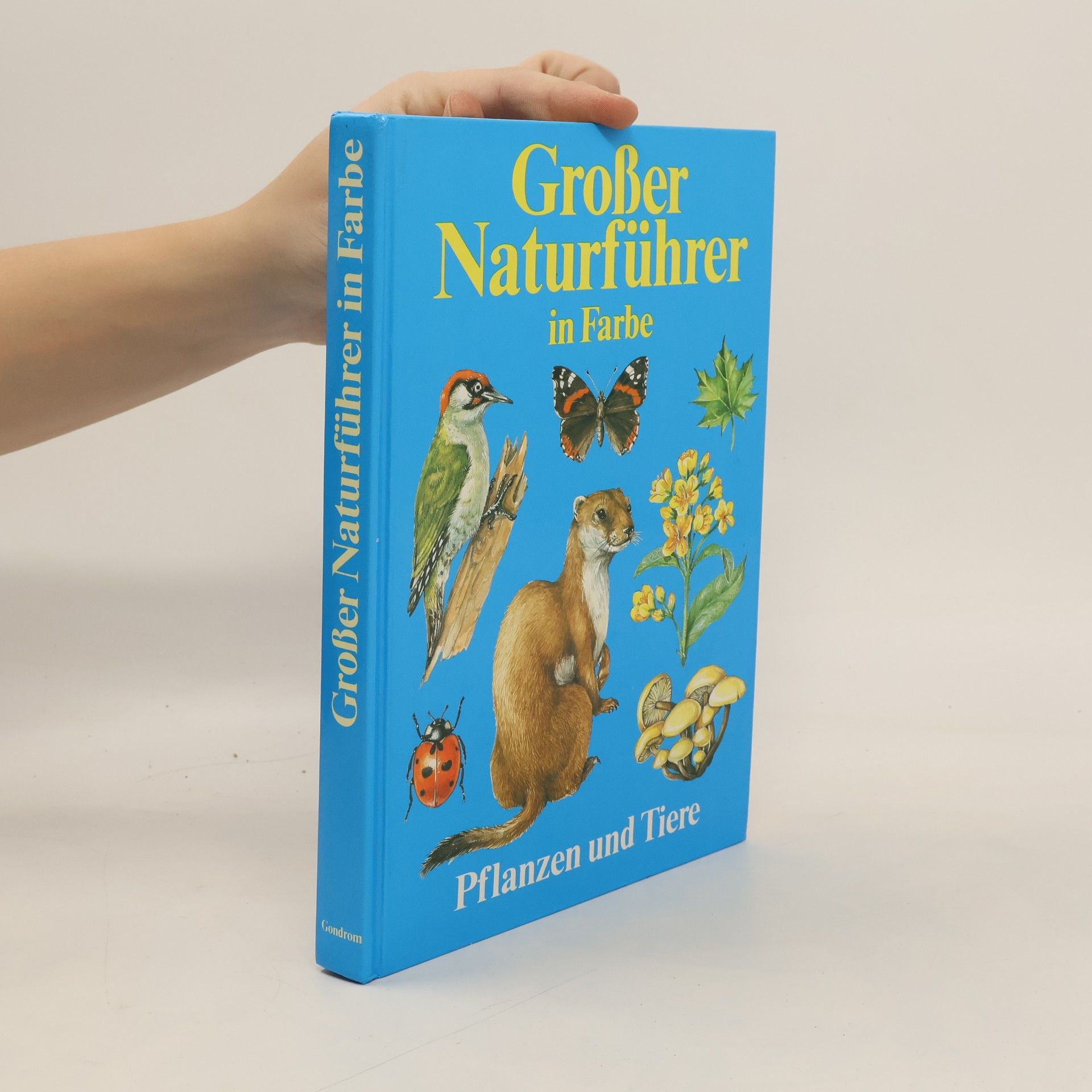 Christoph Needon Großer Naturführer in Farbe