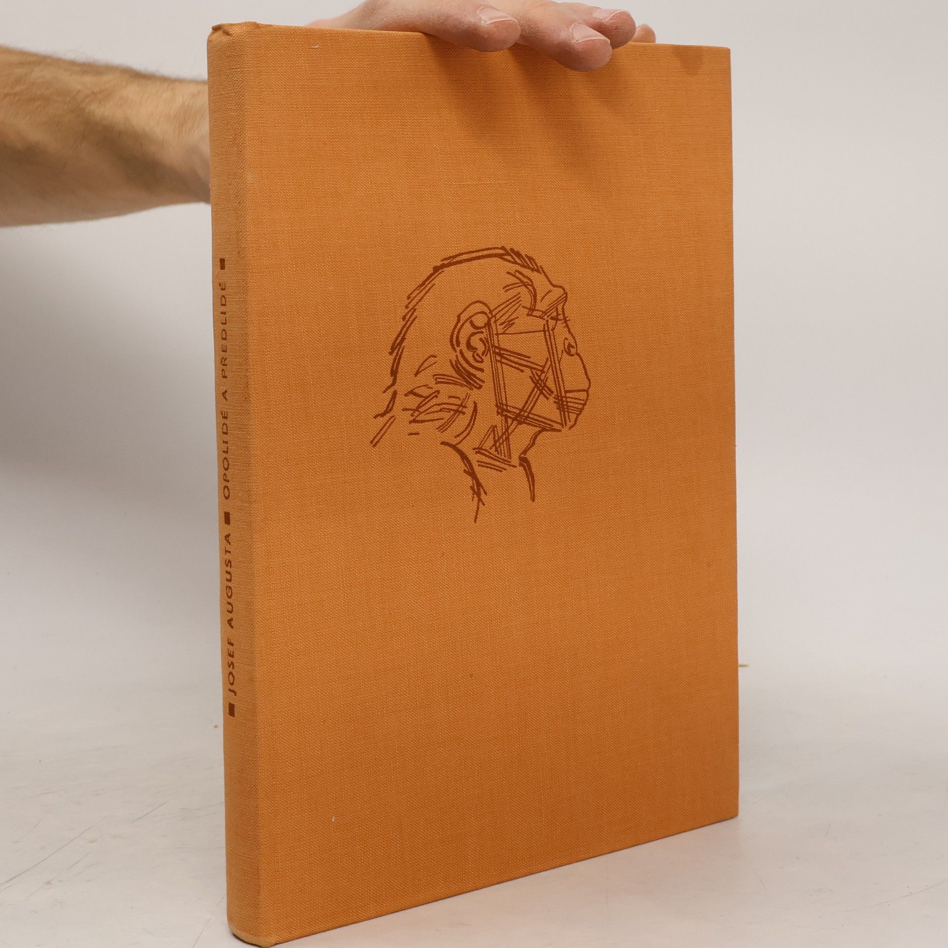 Josef Augusta Opolidé a předlidé