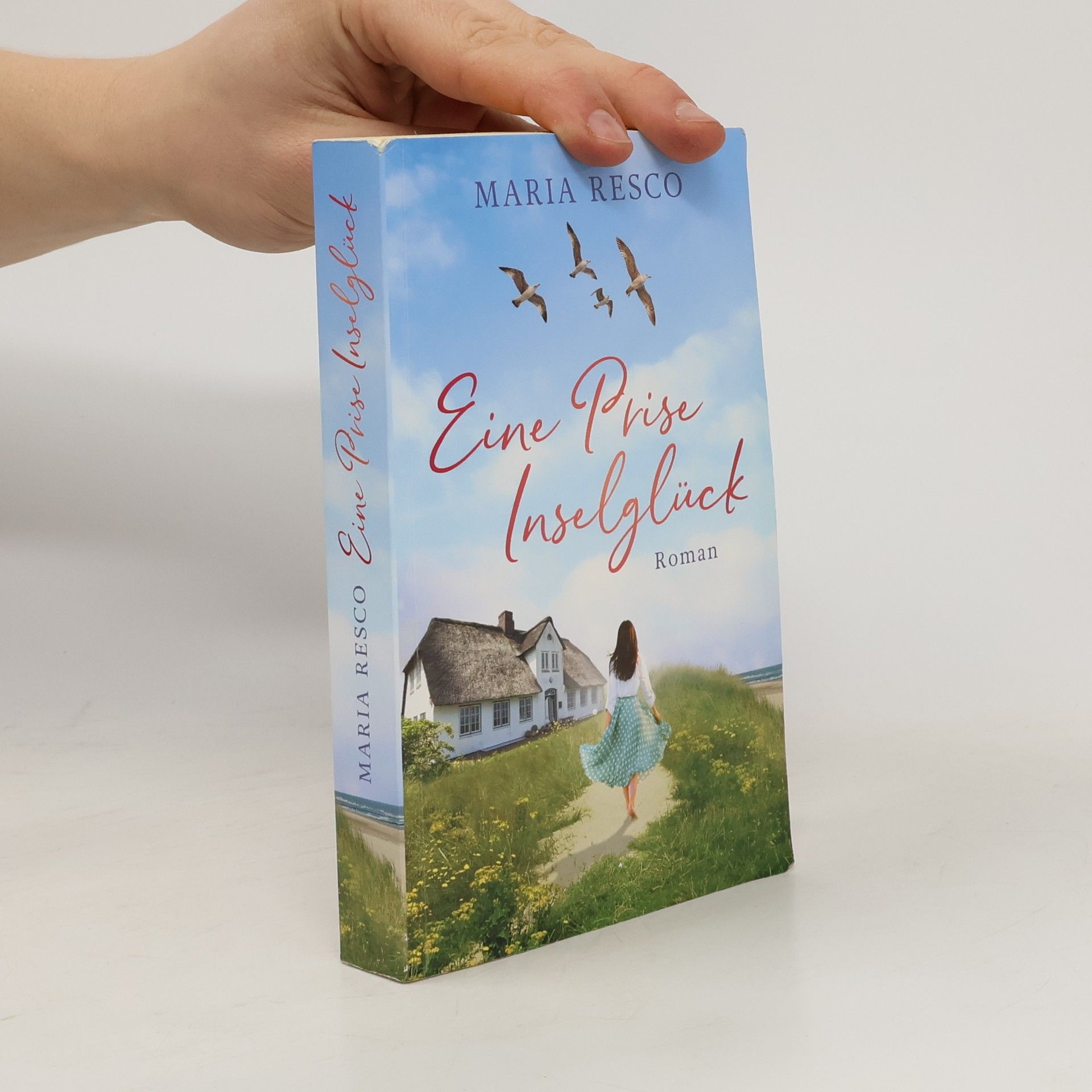 Maria Resco Eine Prise Inselglück