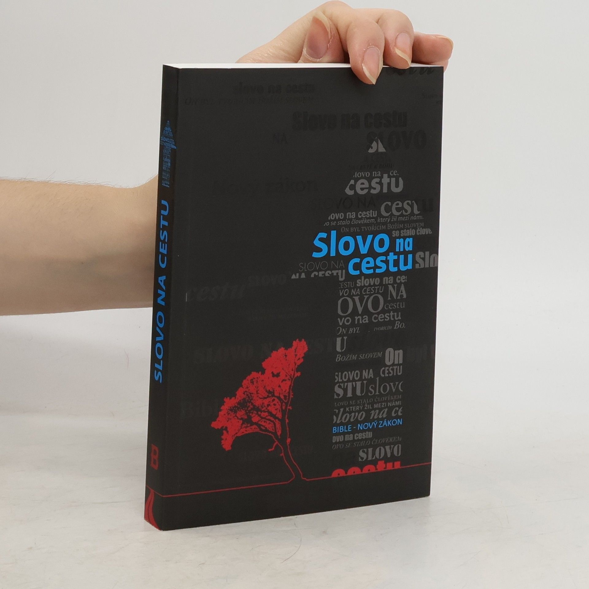 Autorenkollektiv Slovo na cestu